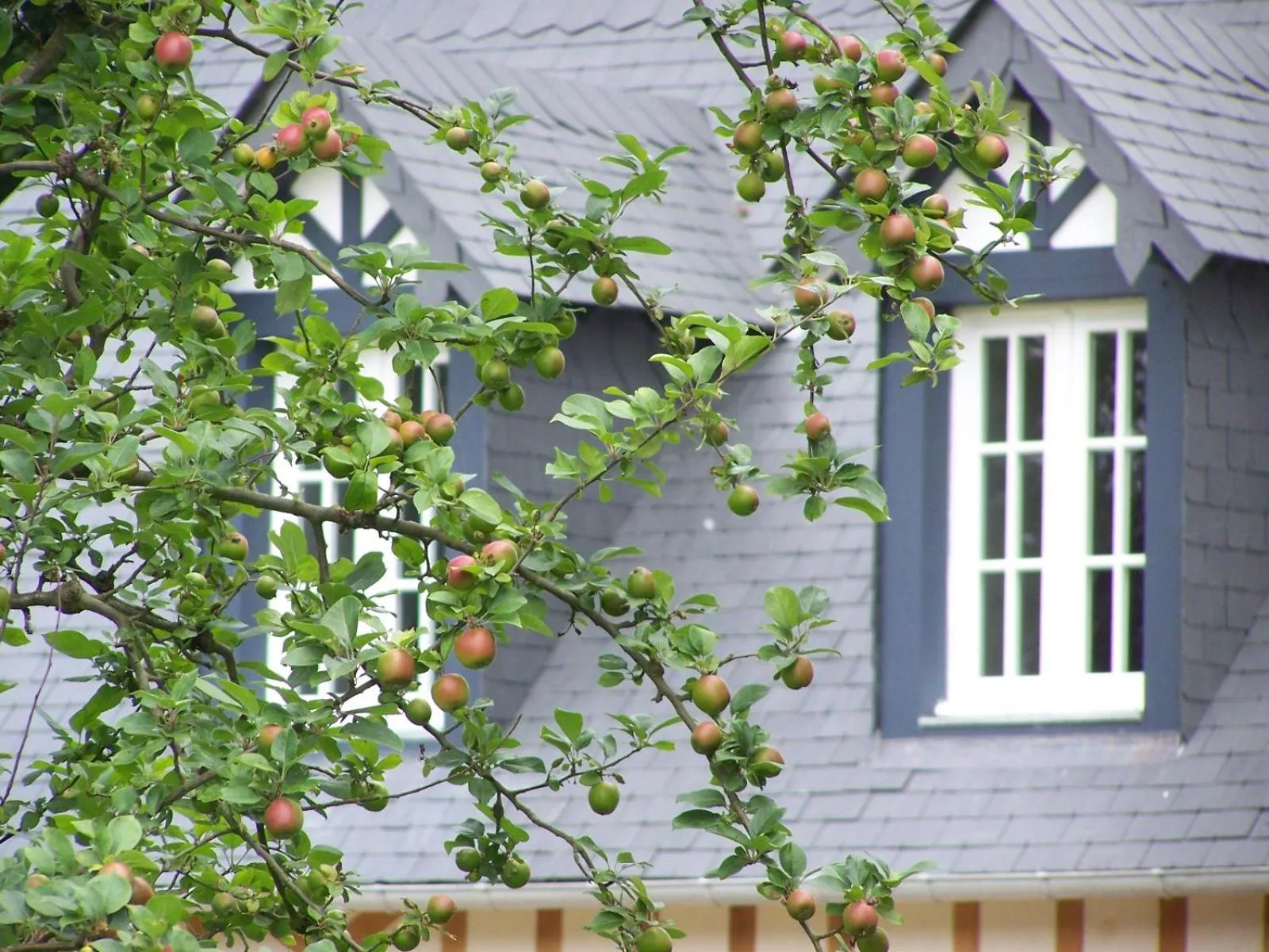 Property building in Clos Masure hôtel de campagne
