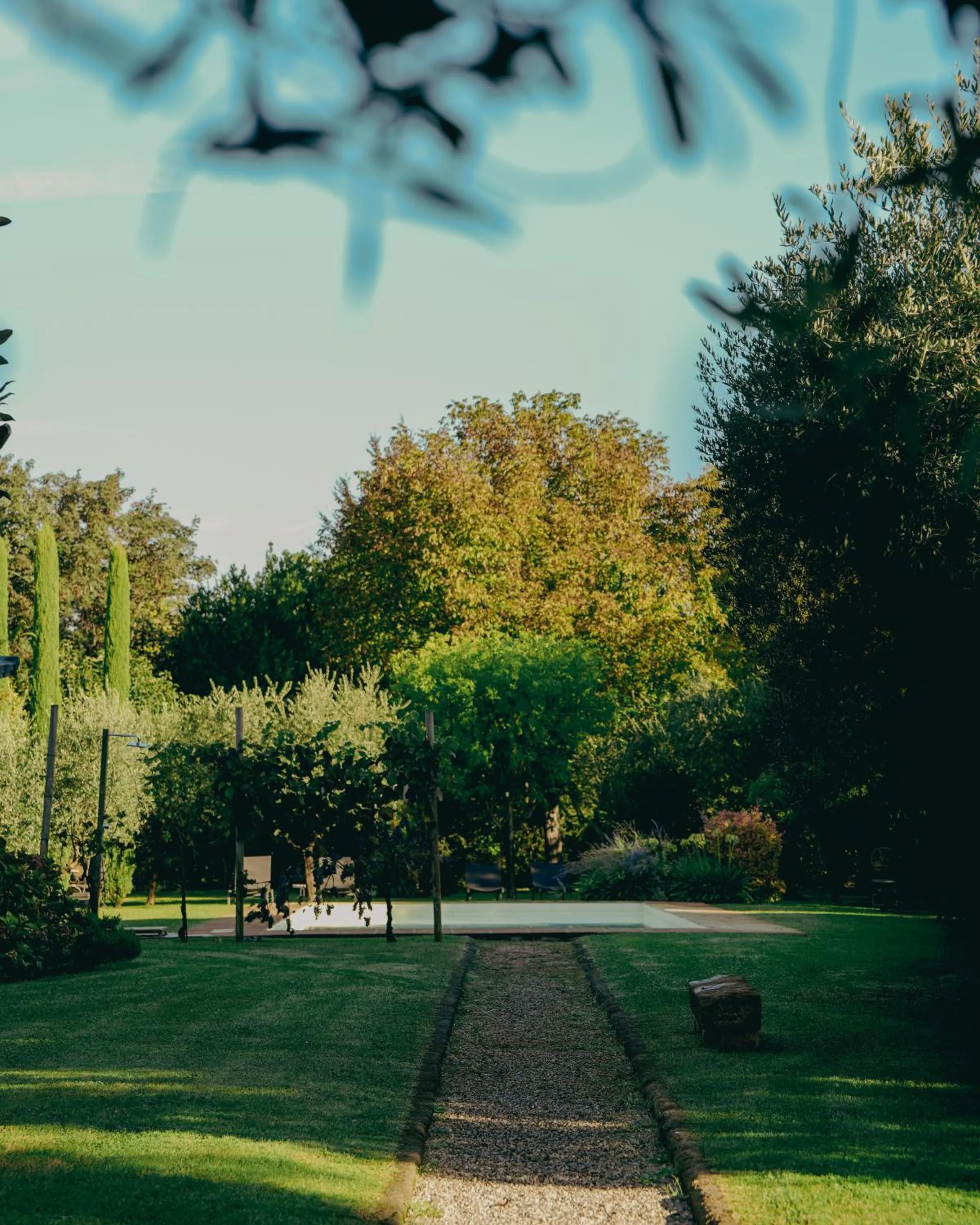 Natural landscape in Corte Vallio