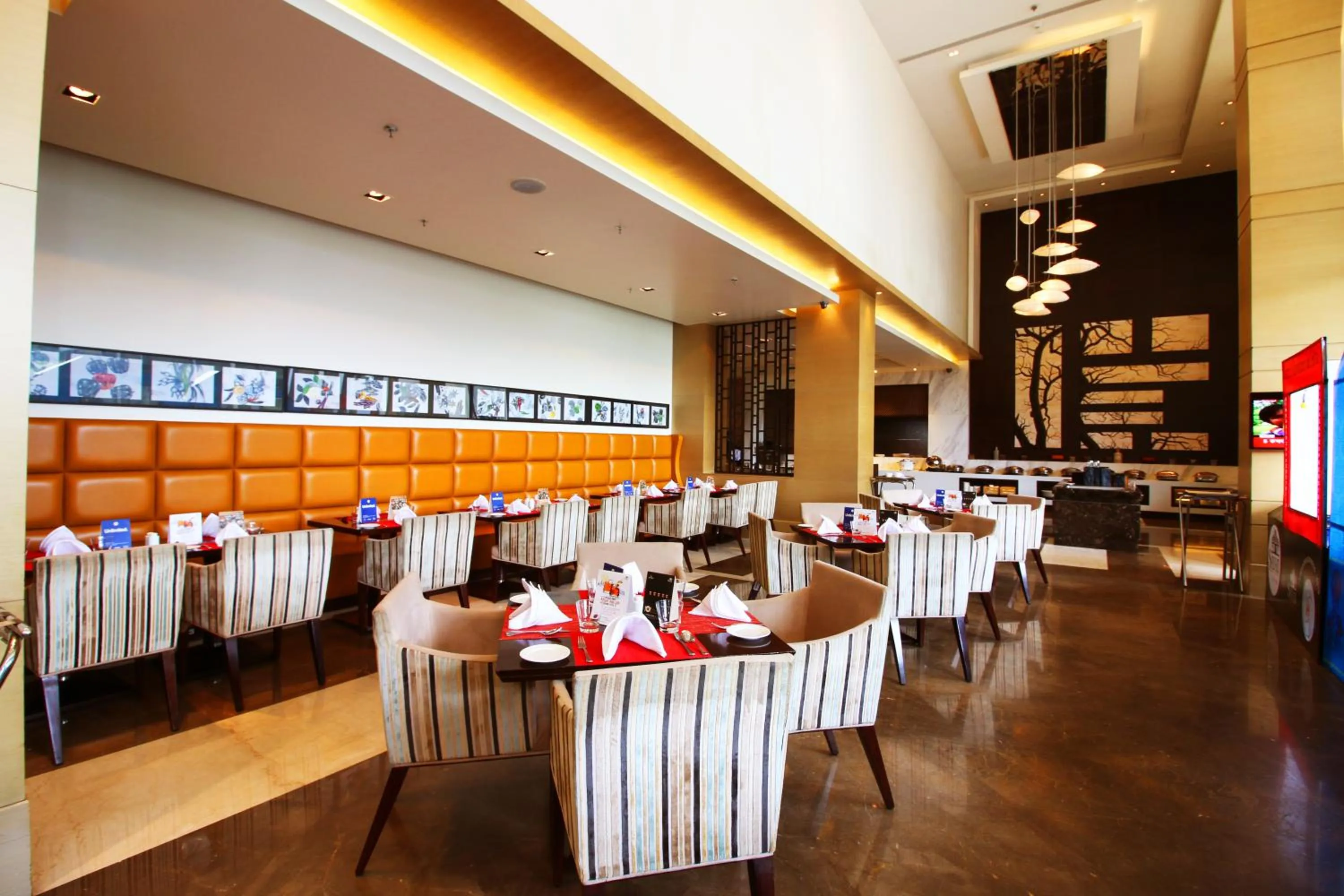 Meals in Sayaji Raipur