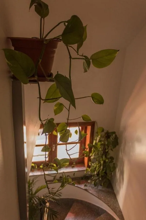 B&B Scarabeo Milazzo