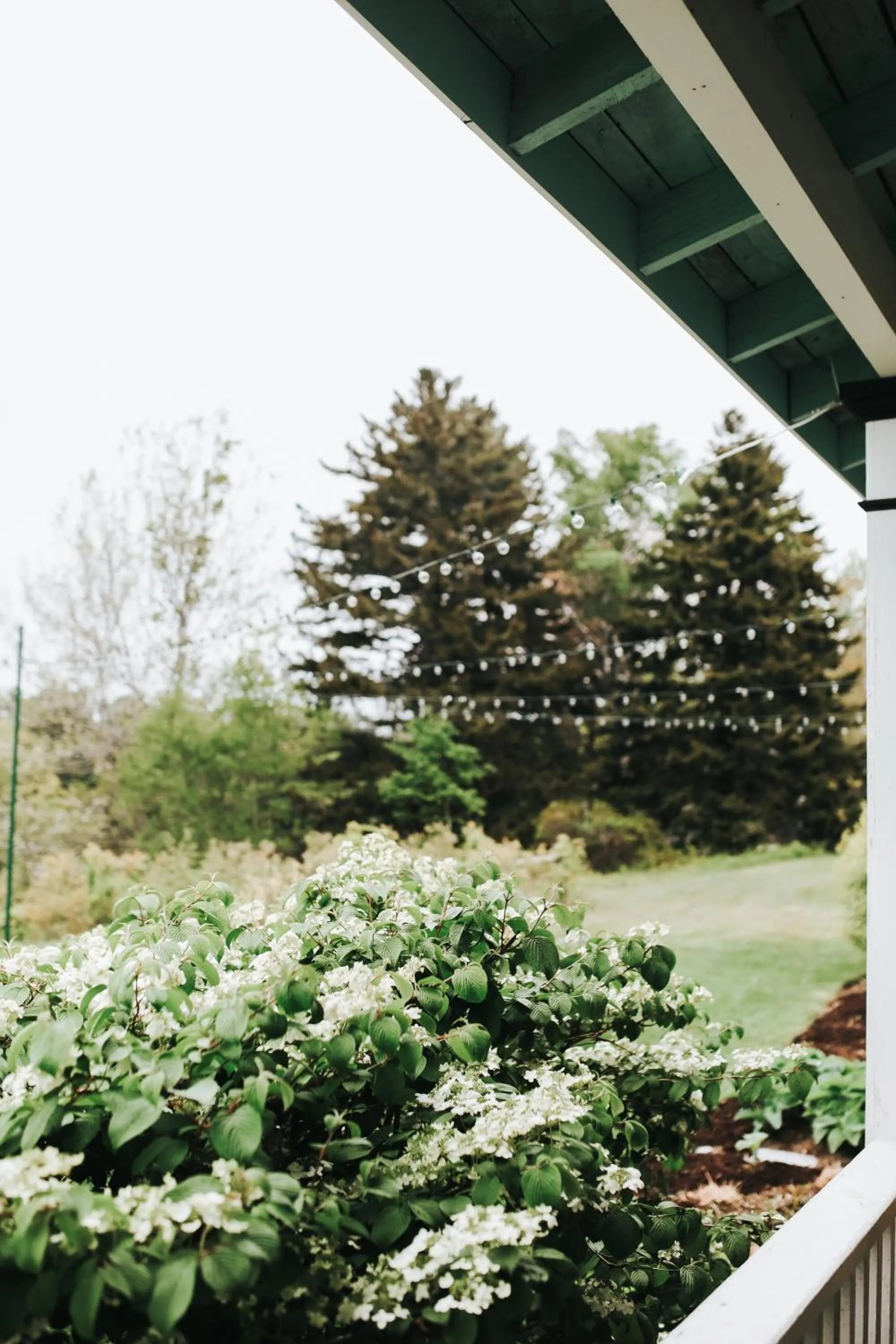 Garden in Chebeague Island Inn