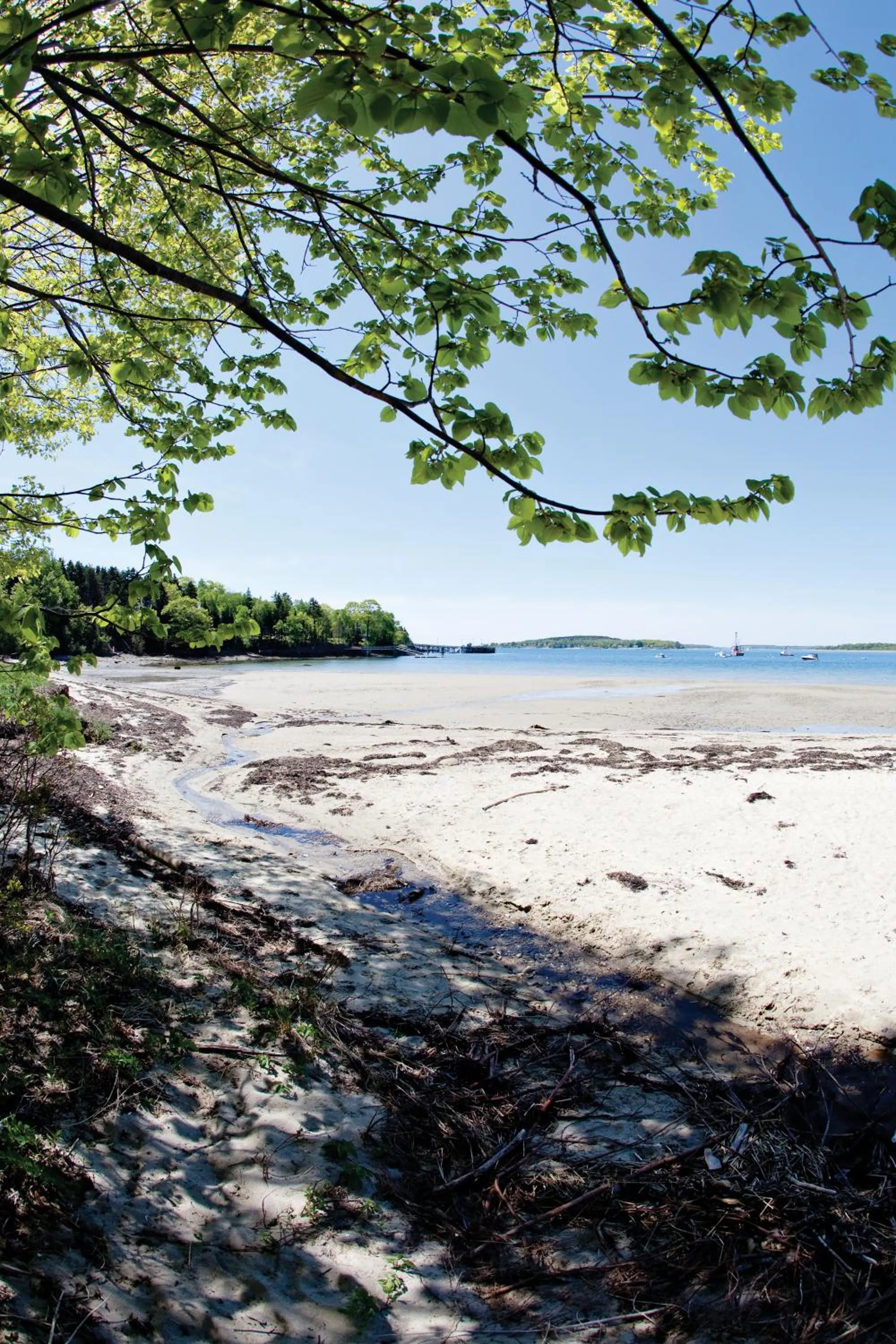 Beach in Chebeague Island Inn