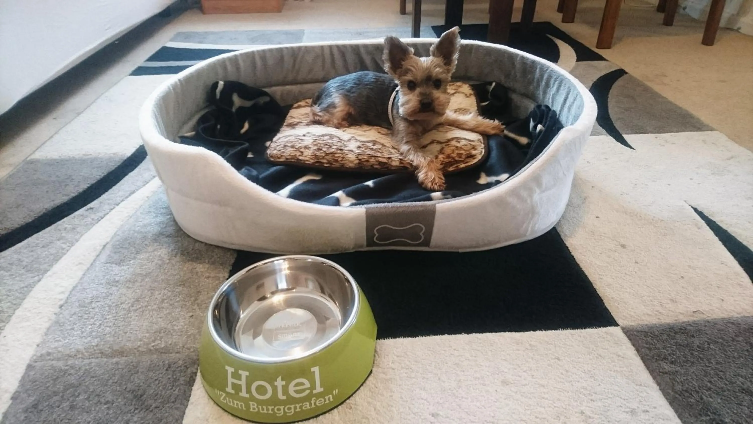 Living room in Pension Zum Burggrafen