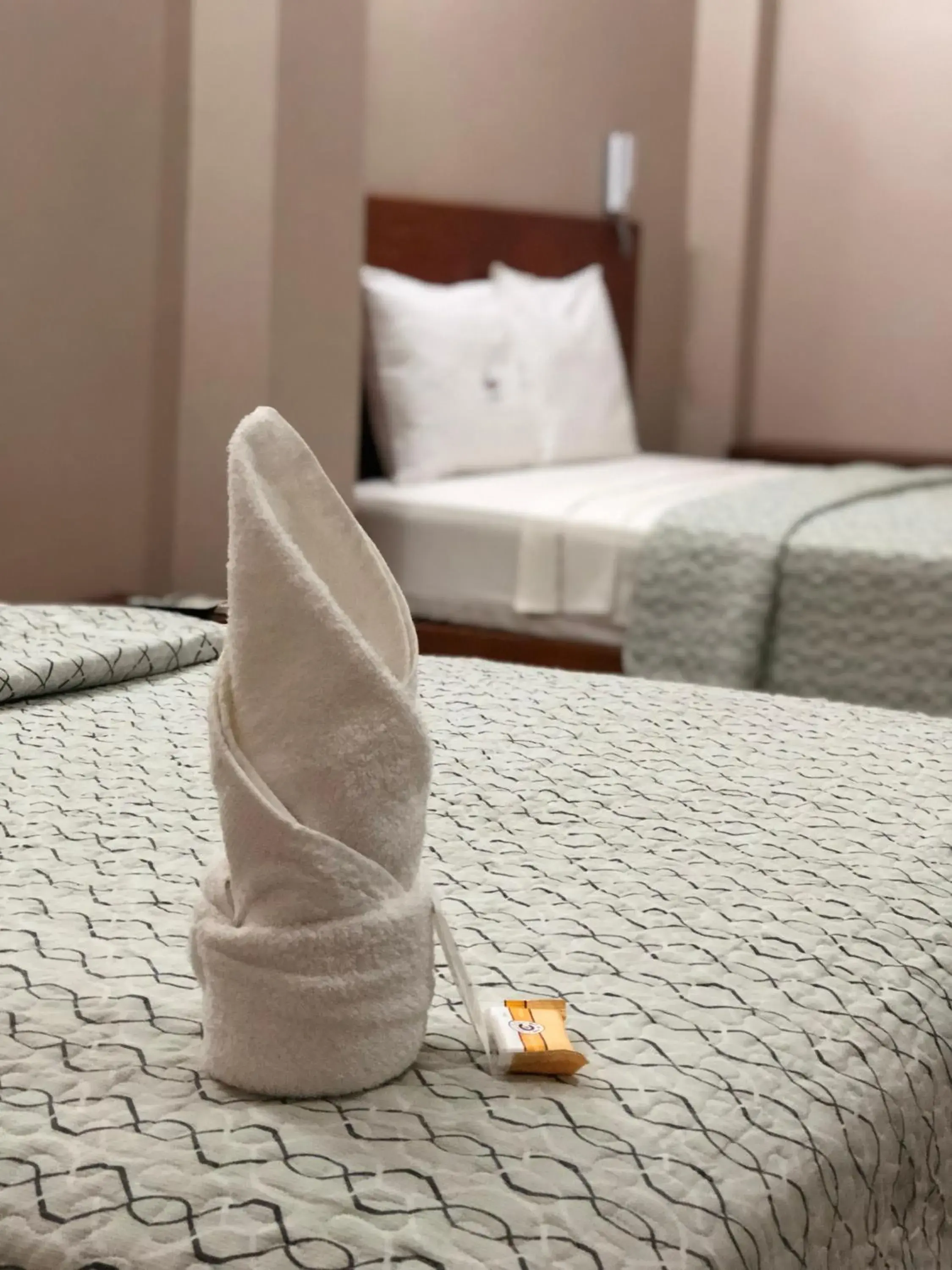 Twin Room in Hotel Selva Dorada Twin Room in Hotel Selva Dorada