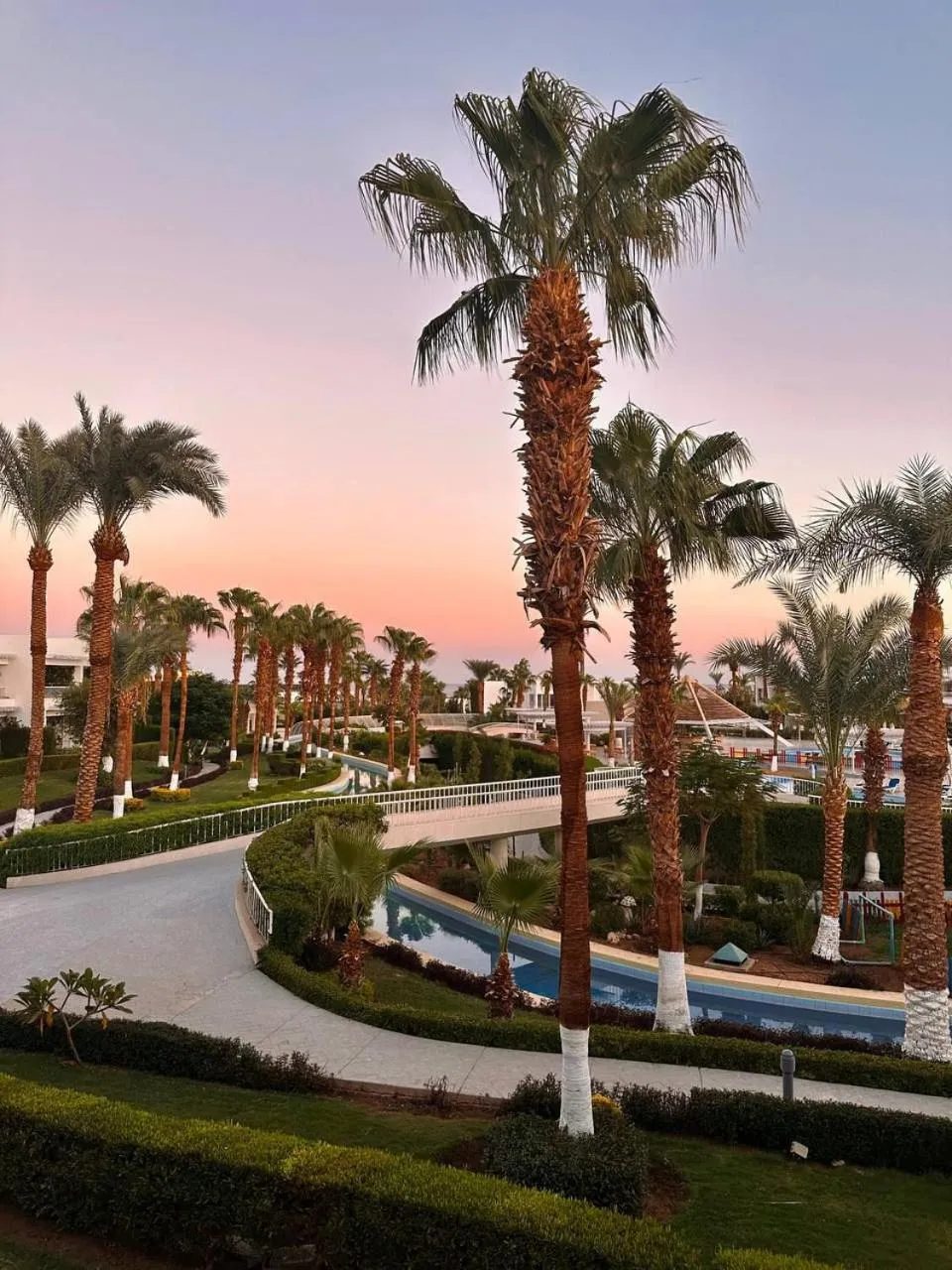 Garden in Monte Carlo Sharm Resort & Spa