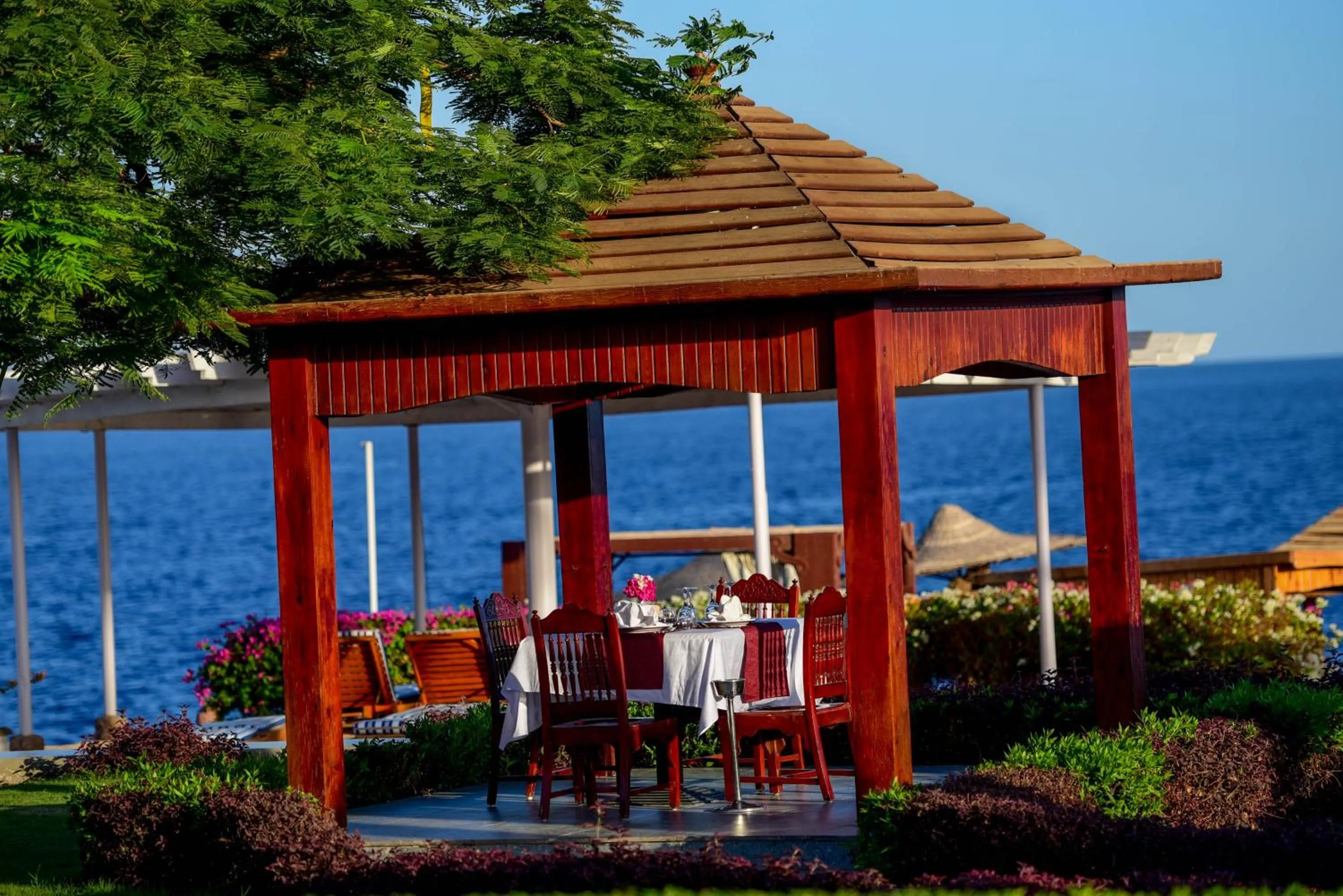 Beach in Monte Carlo Sharm Resort & Spa