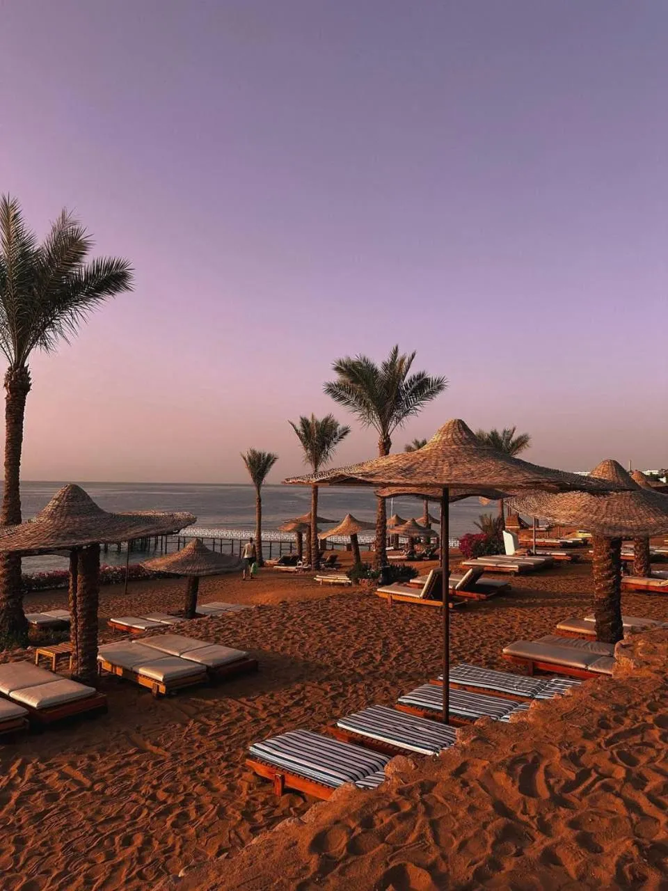Beach in Monte Carlo Sharm Resort & Spa