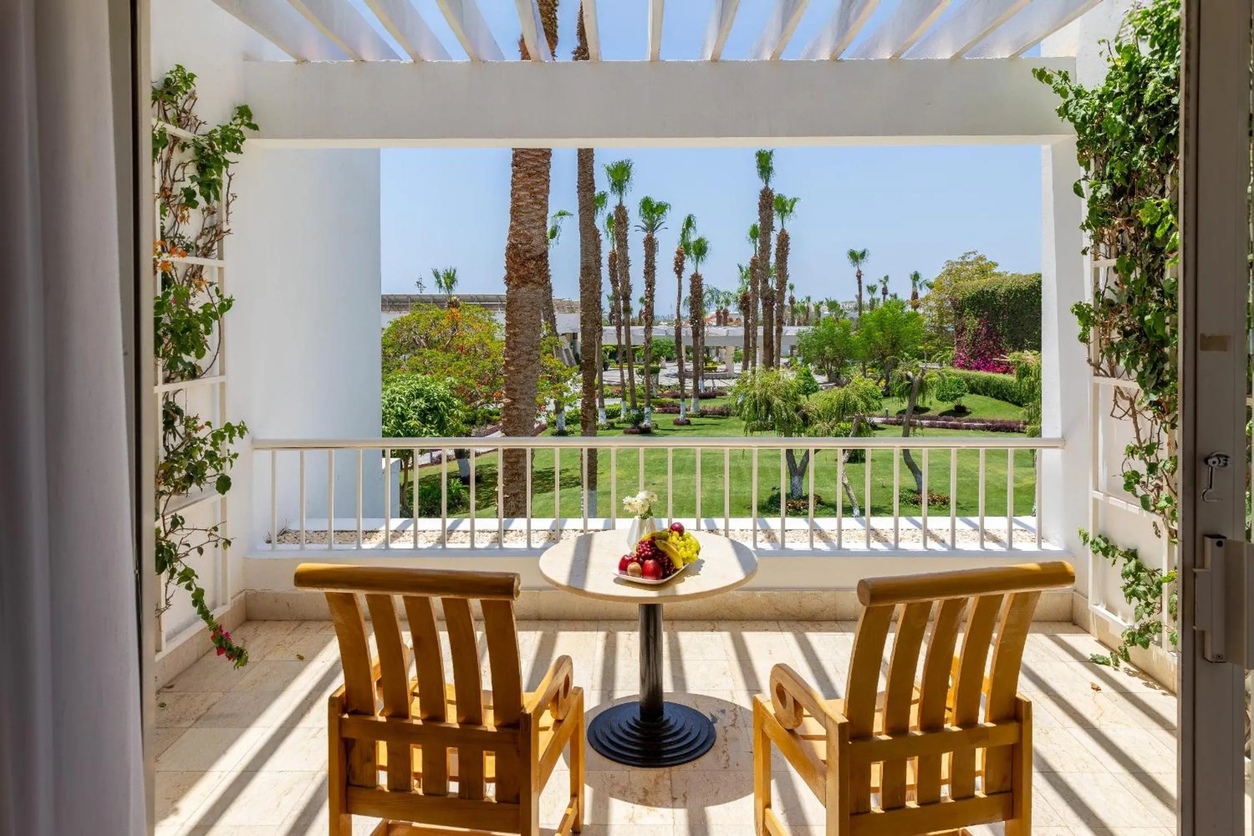 Day in Monte Carlo Sharm Resort & Spa