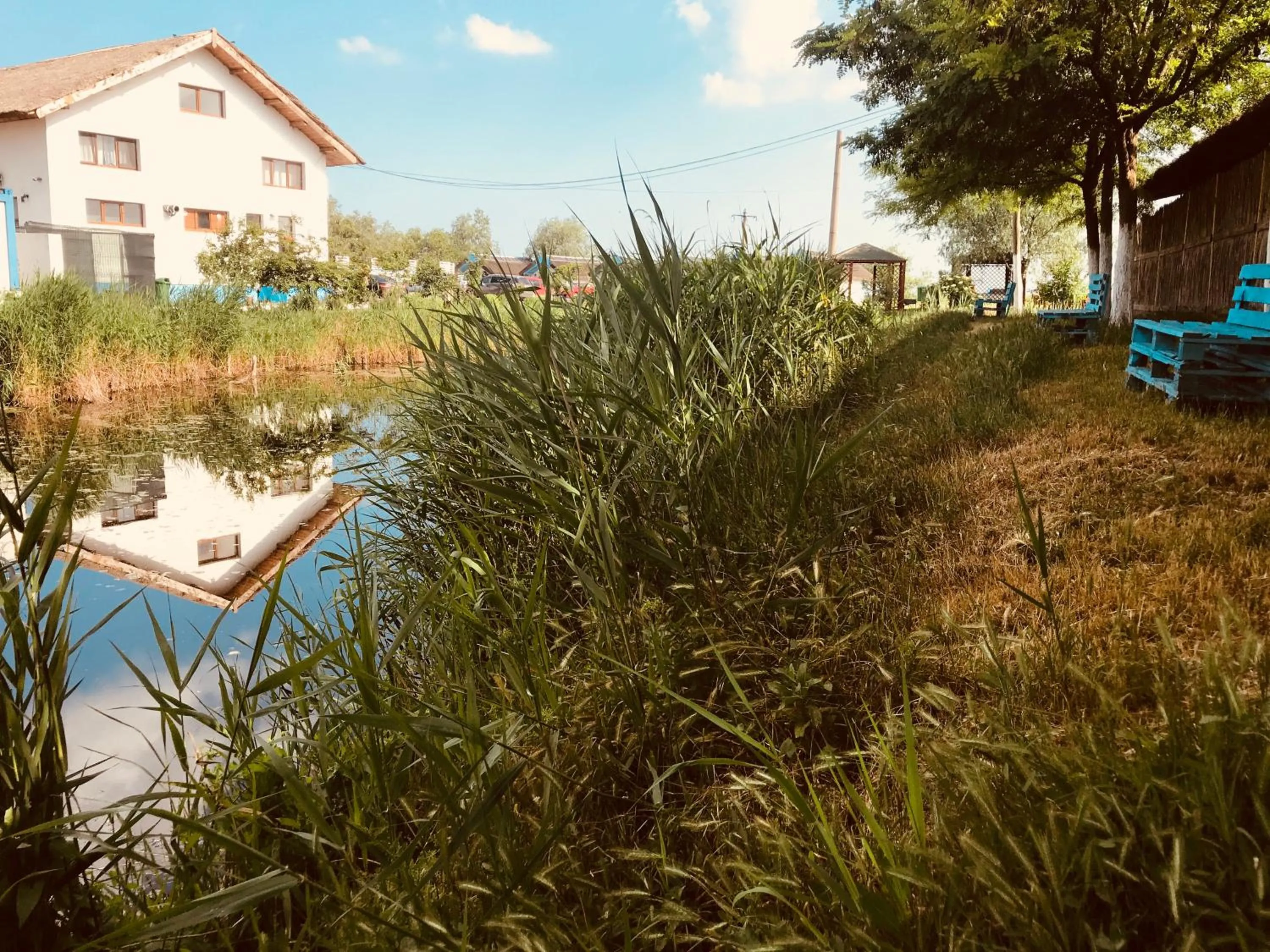 View (from property/room) in Casa Pescarilor