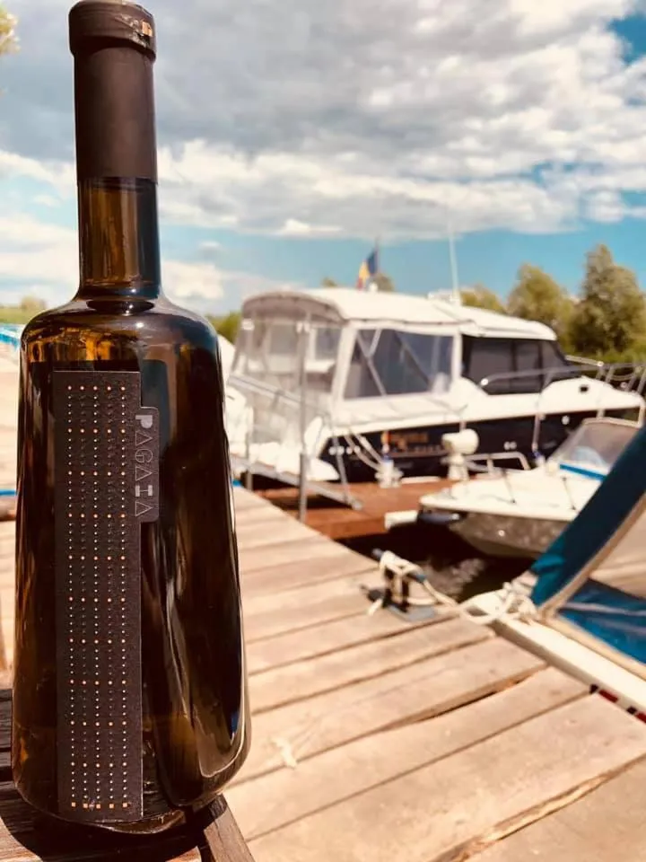 Drinks in Casa Pescarilor