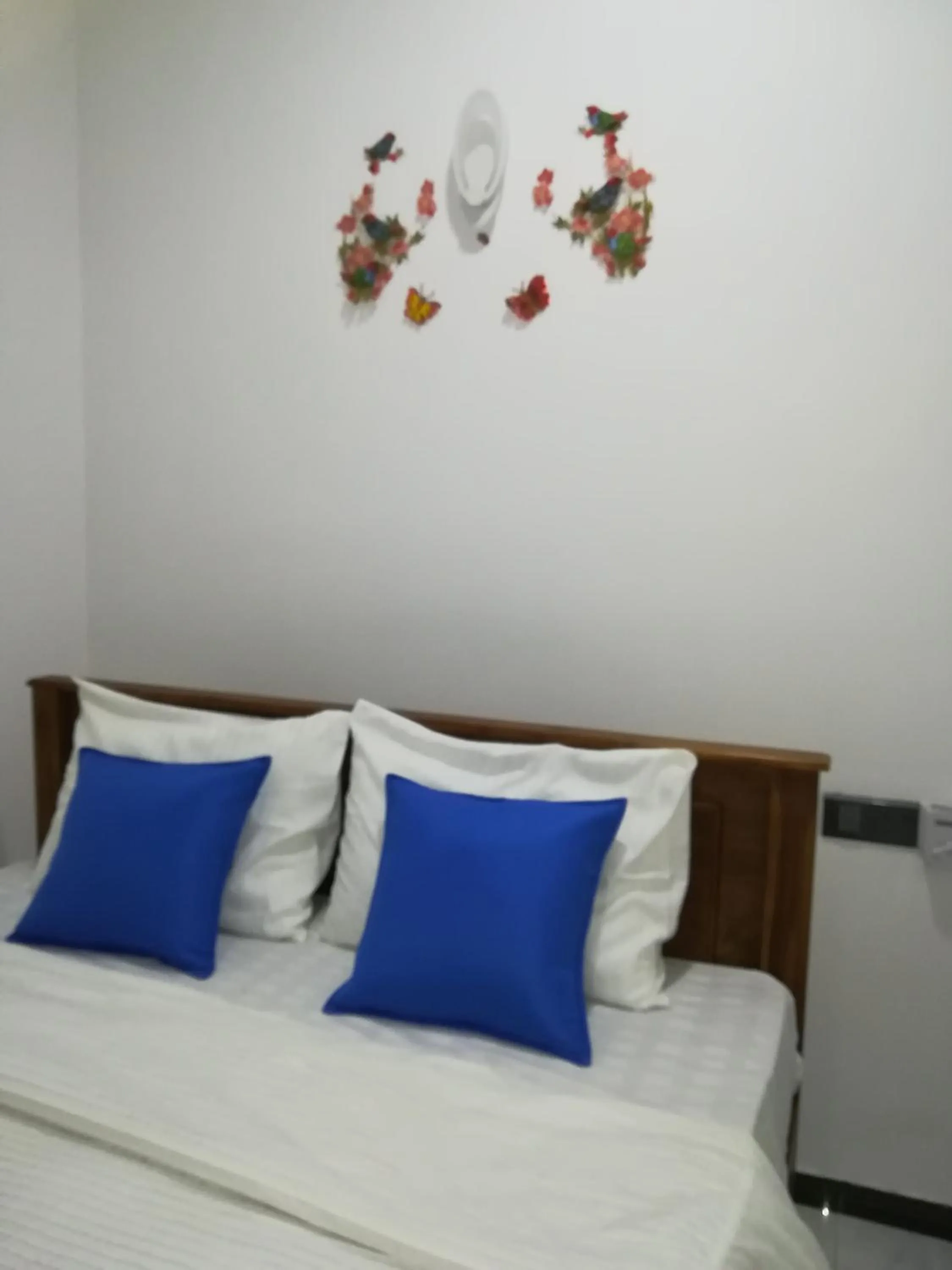 Bed in Moon Light Guest