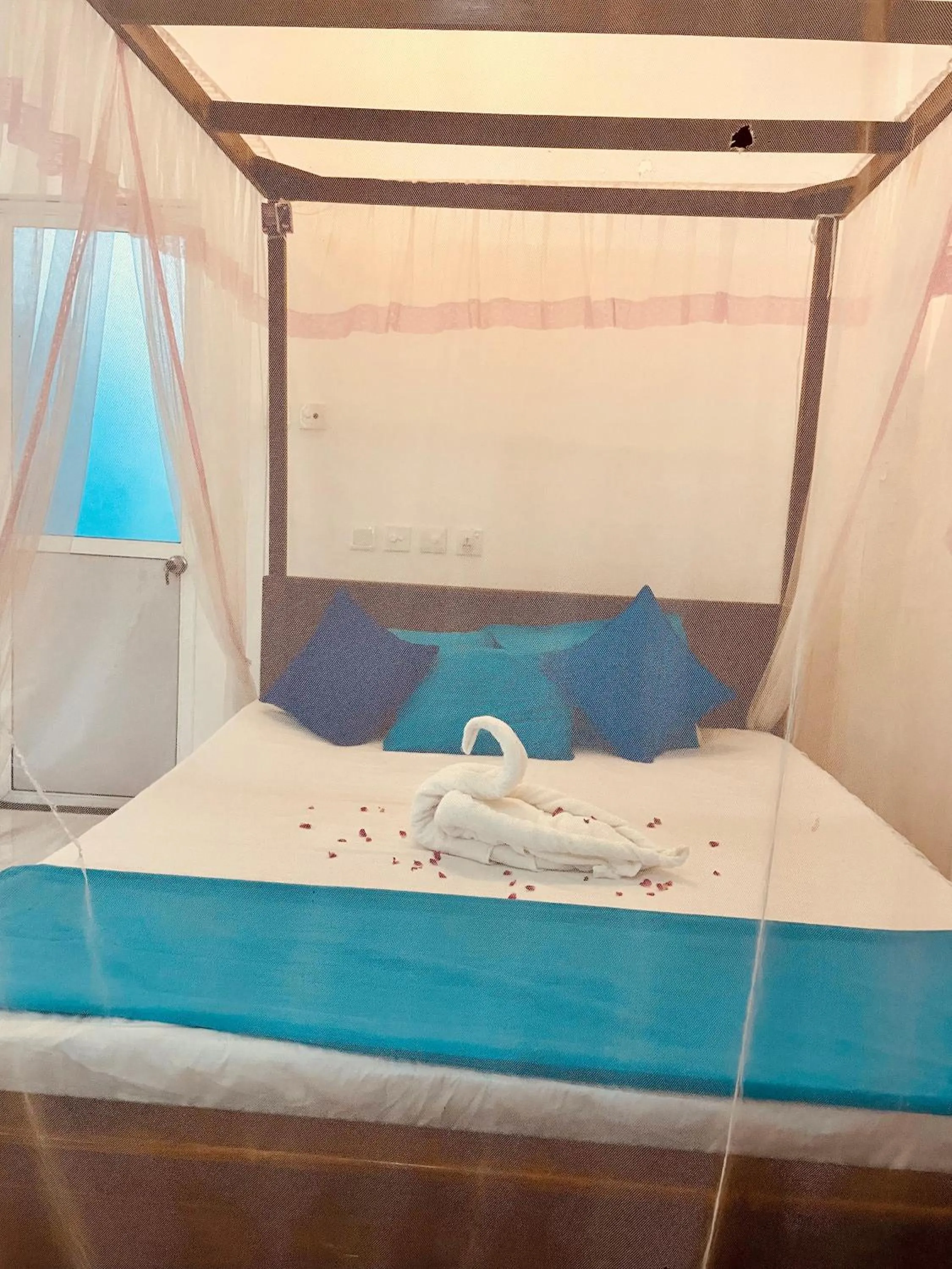 Bed in Moon Light Guest