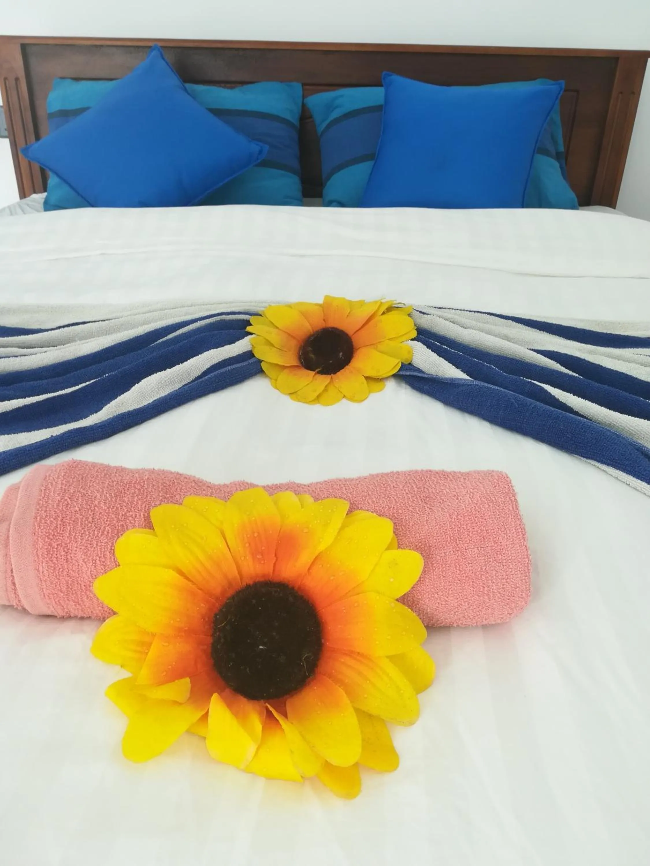 Bed in Moon Light Guest