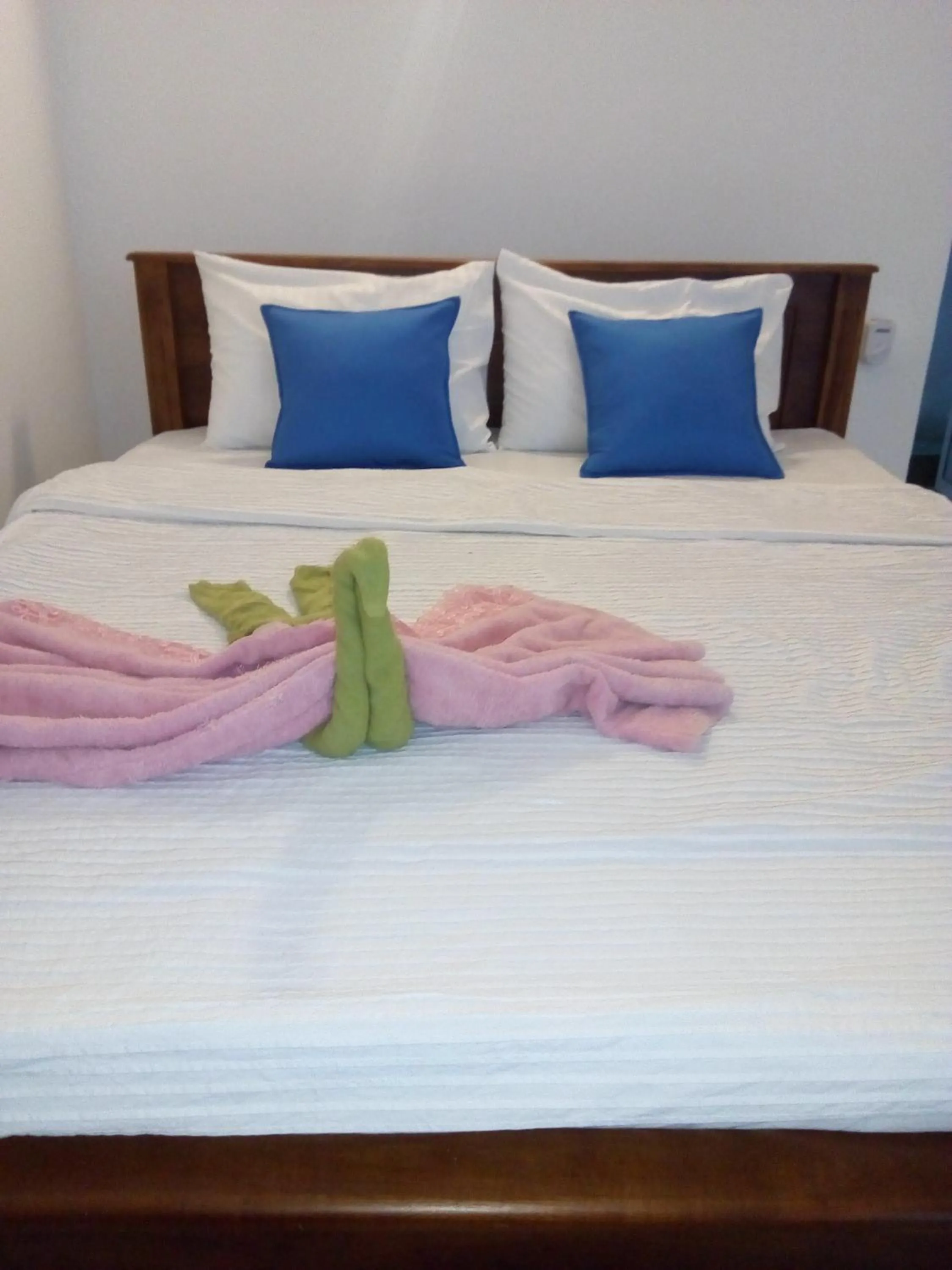 Bed in Moon Light Guest
