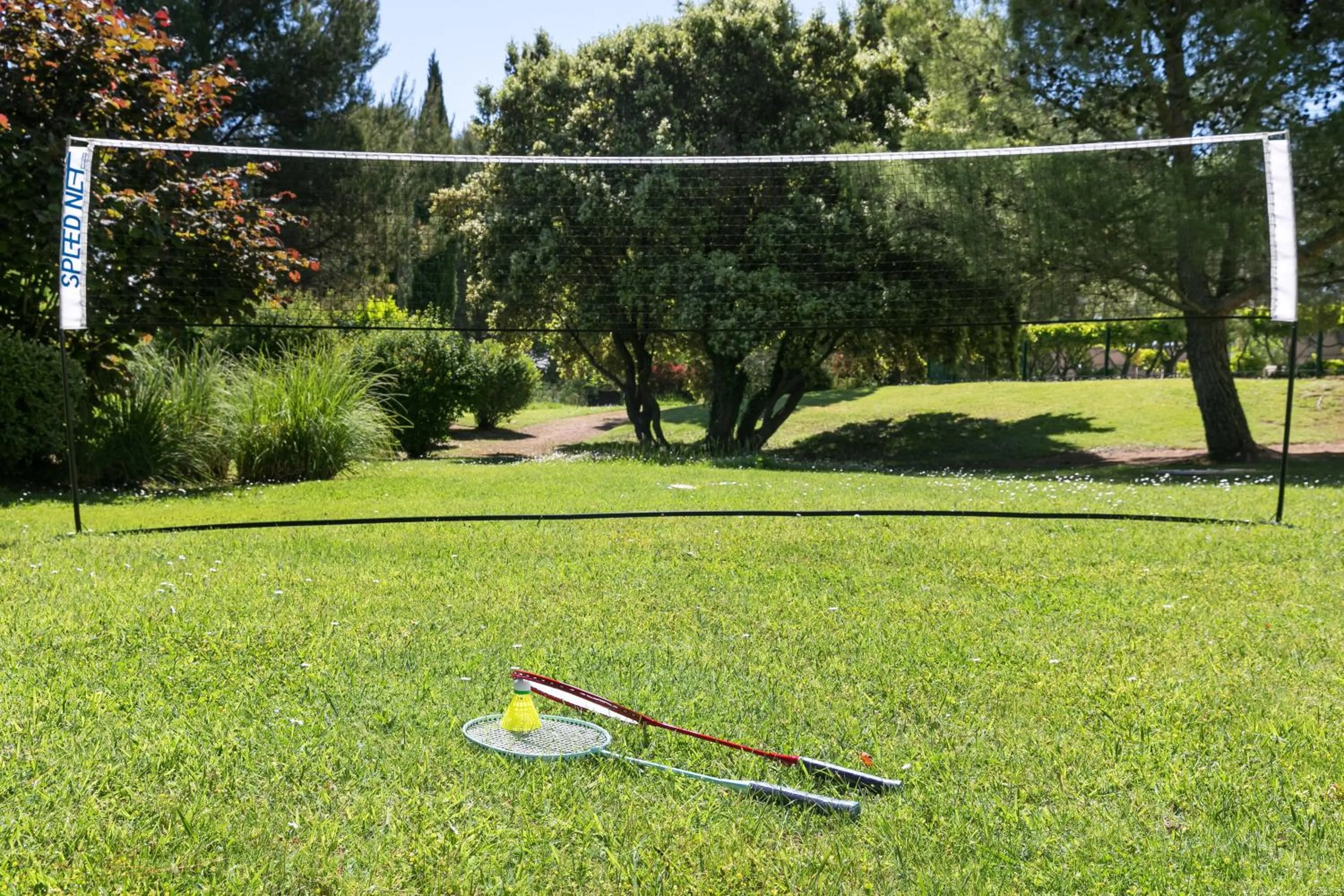 Activities in Hôtel Birdy by Happyculture