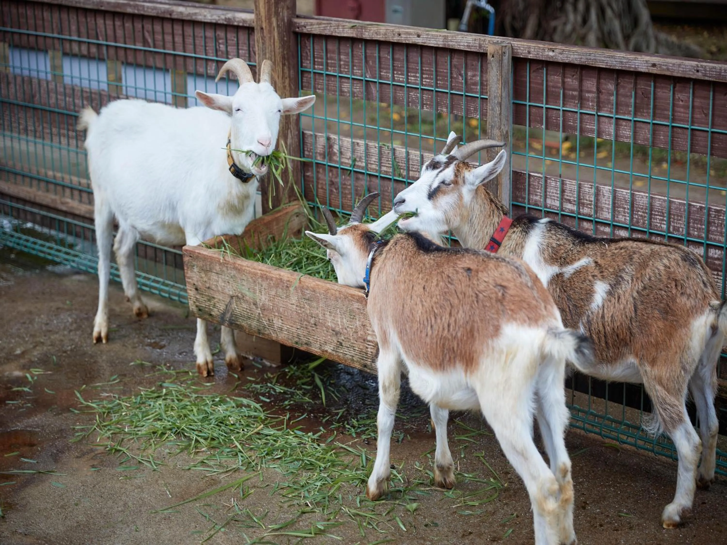 Nearby landmark in Hotel Murasakimura