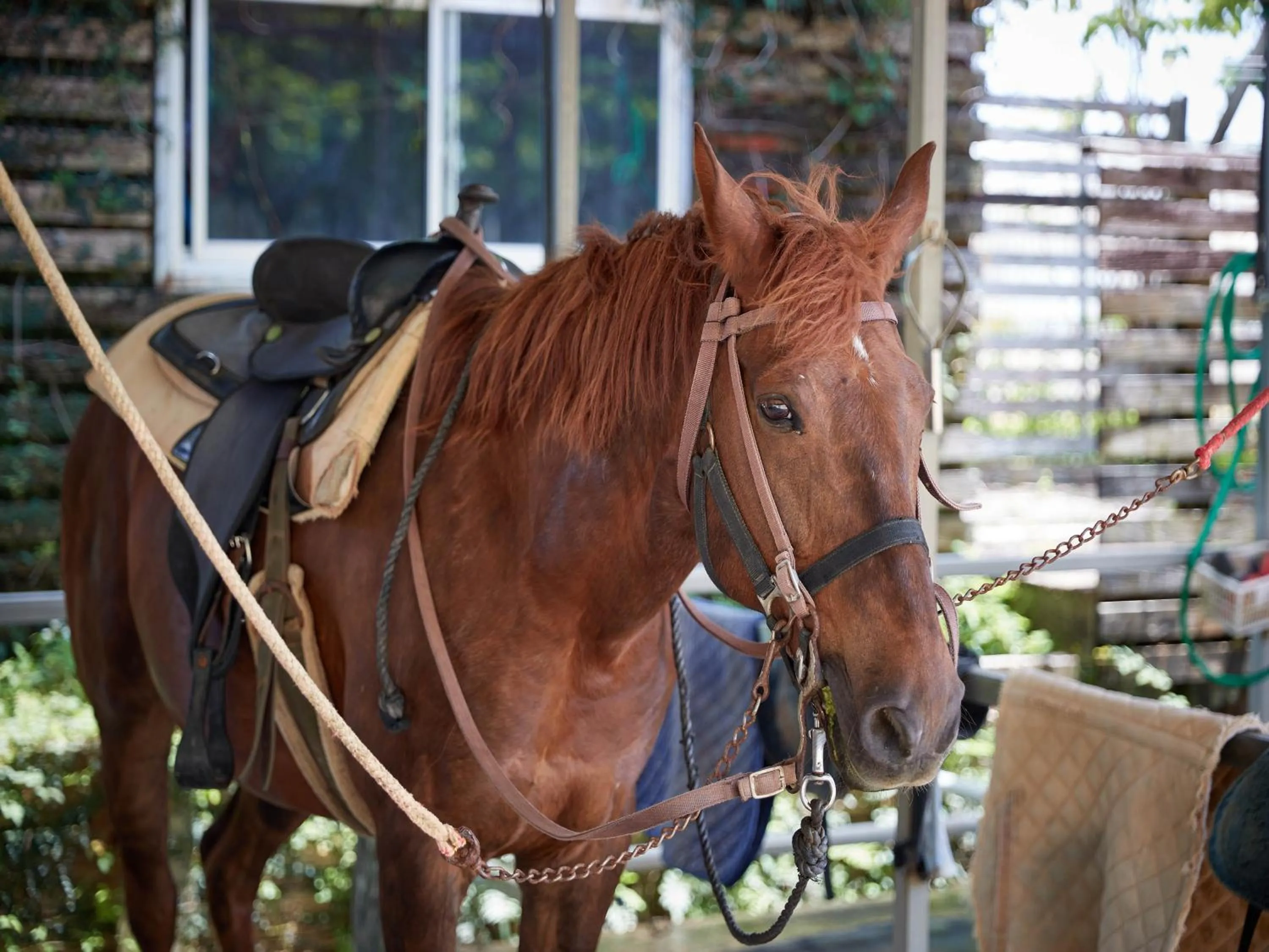 Nearby landmark in Hotel Murasakimura