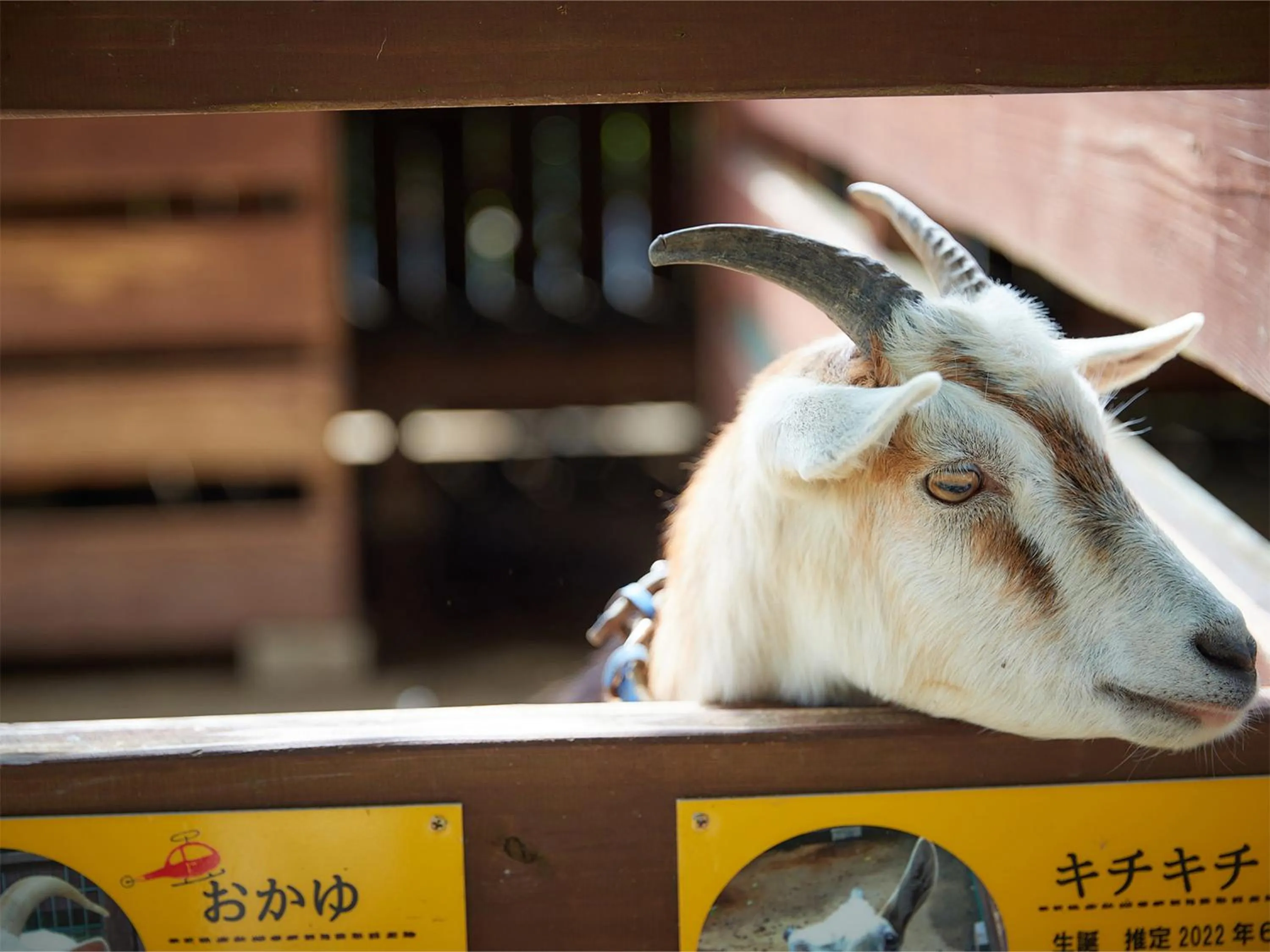 Off site in Hotel Murasakimura