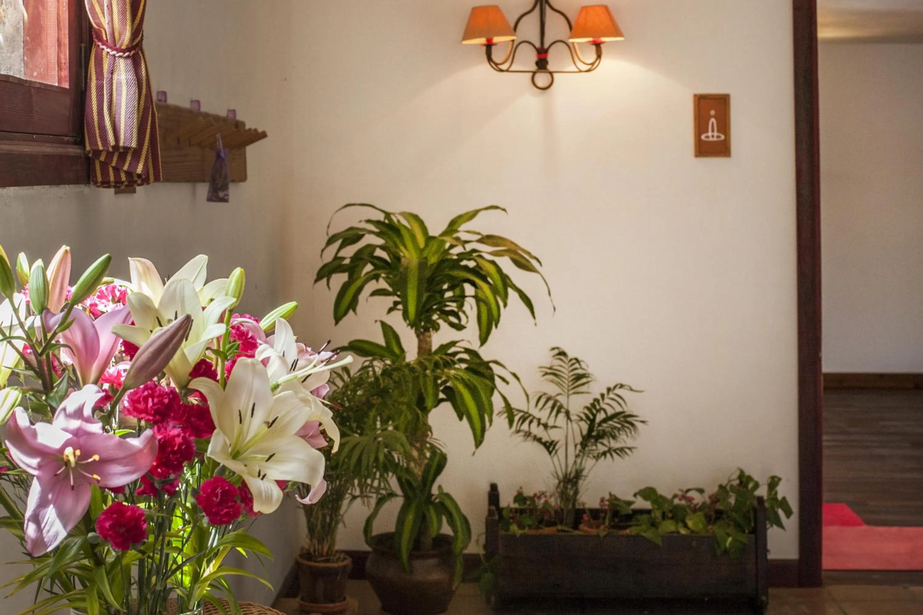 Living room in Eco Finca Vista Bonita