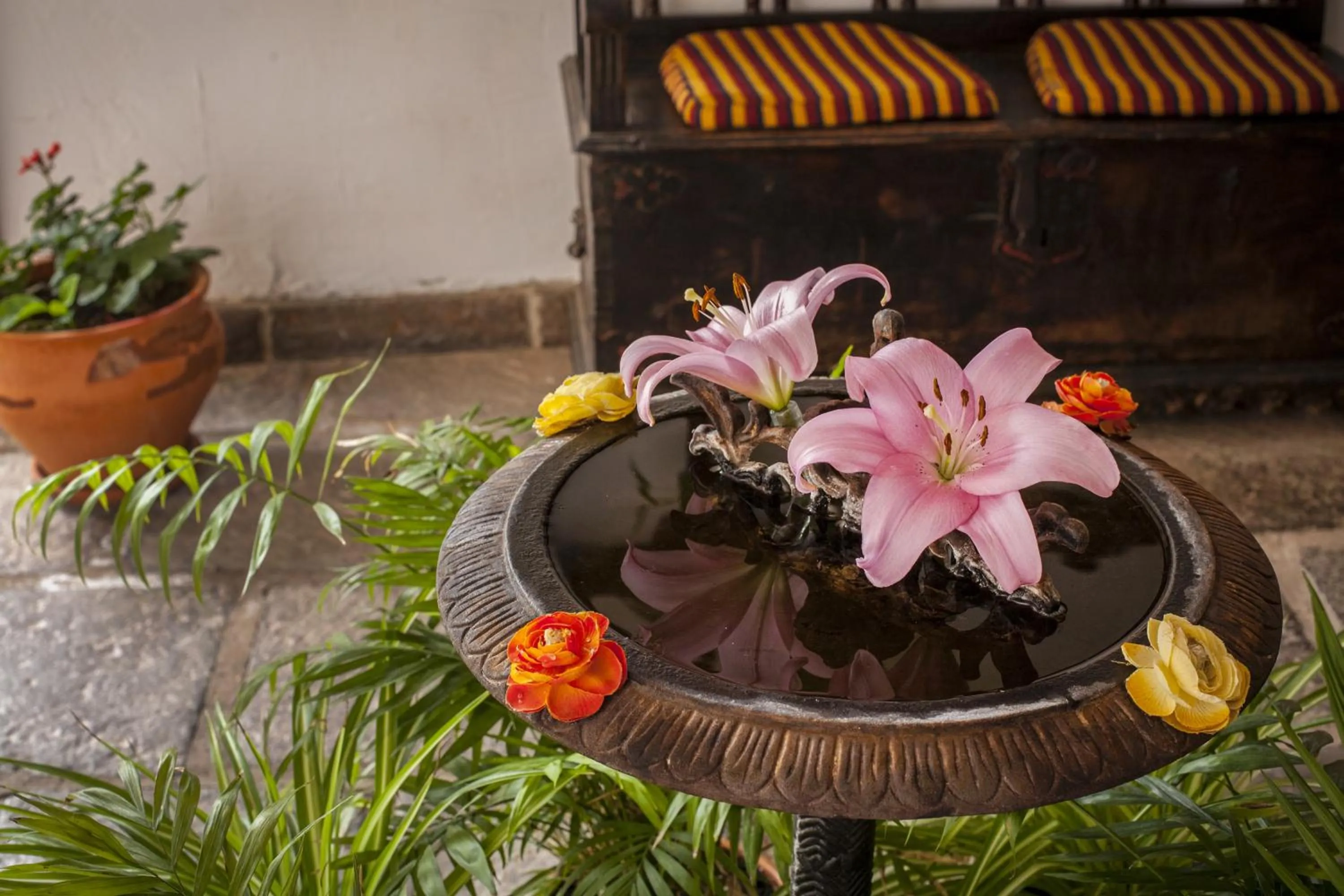 Living room in Eco Finca Vista Bonita