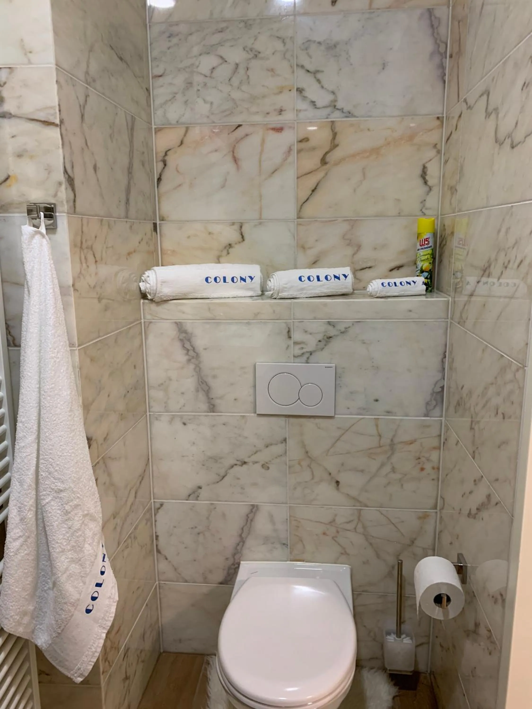 Toilet in Colony Apartments