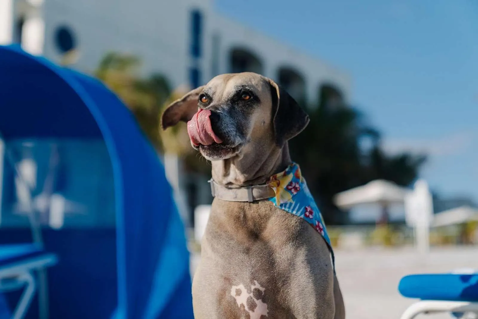 Property building in Costa d'Este Beach Resort & Spa