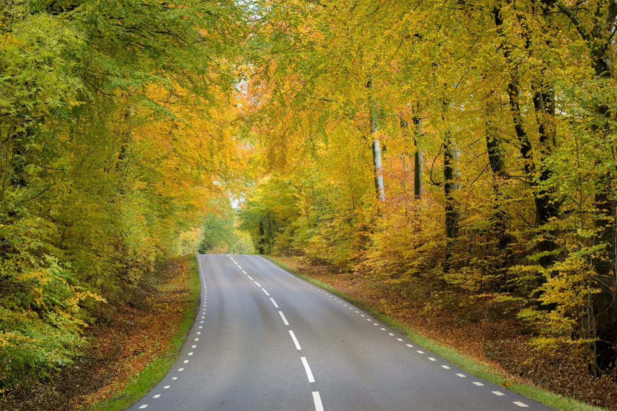 Natural landscape in Mellby Atelier på Österlen