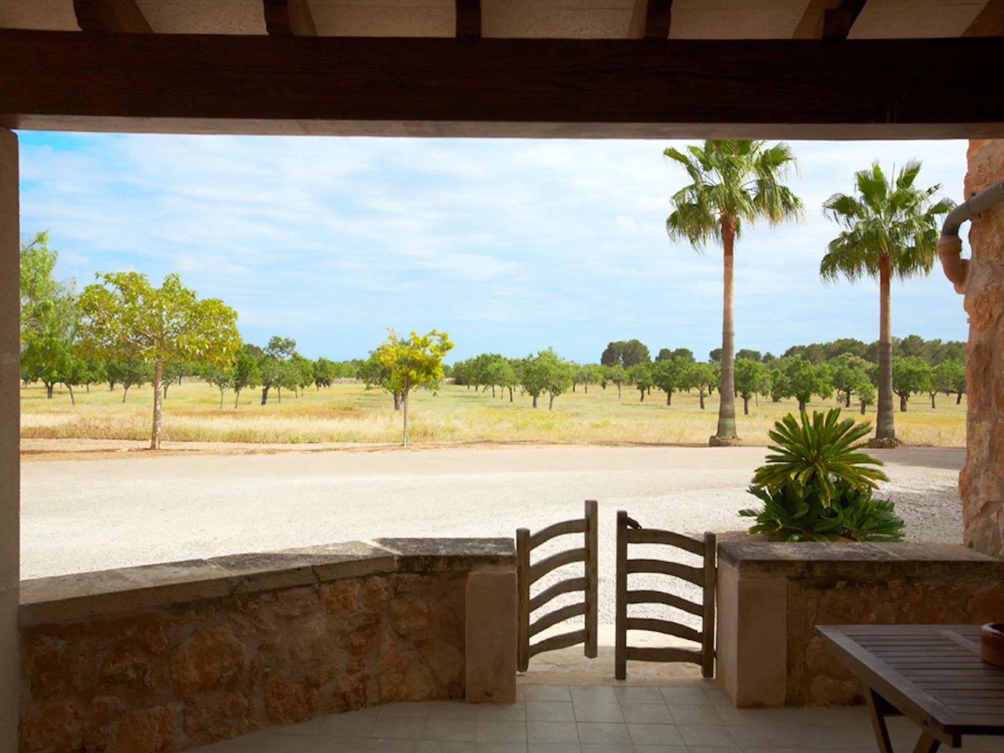 Garden view in Puig de Ros d’Alt