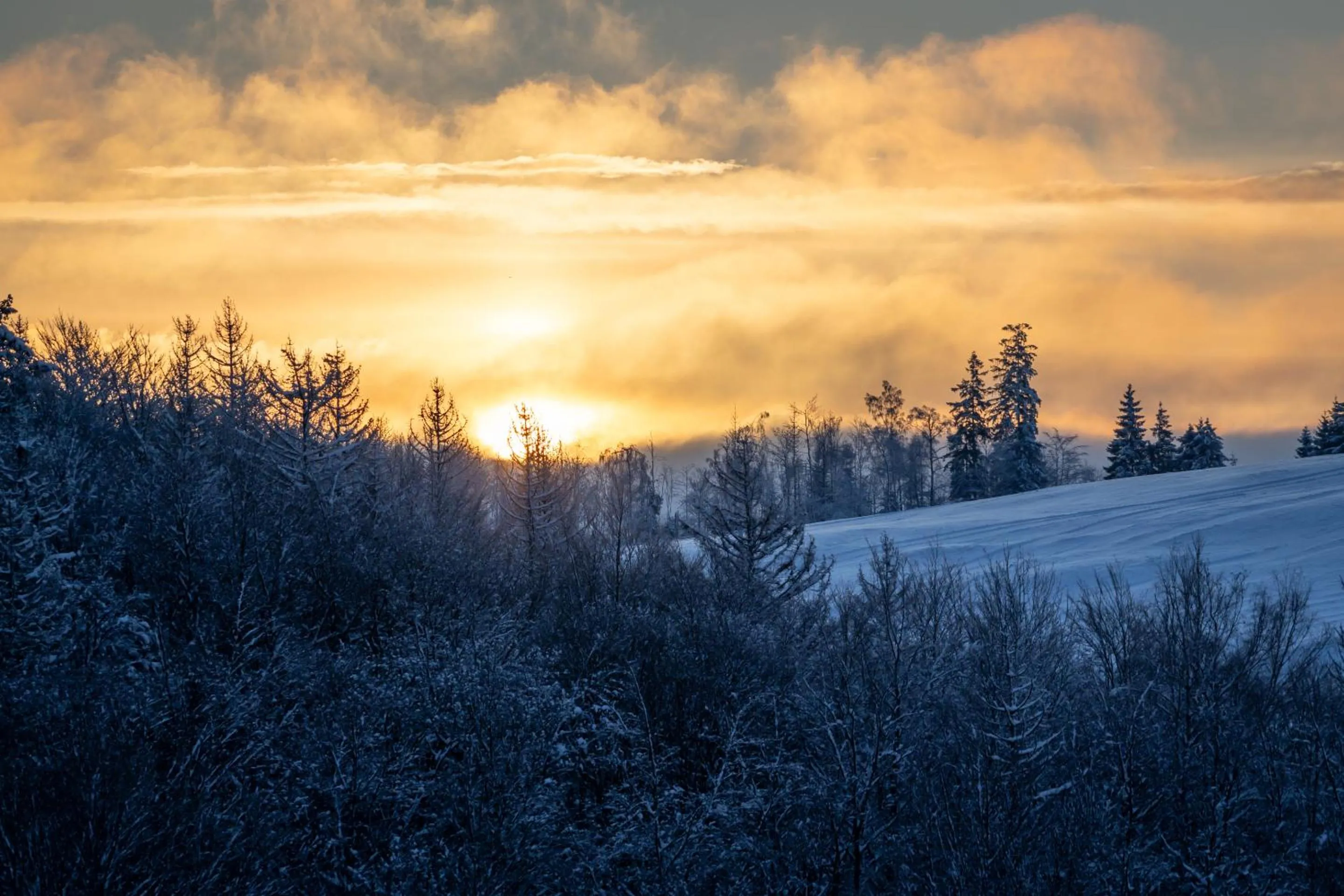 View (from property/room) in Harz BnB Werkmeister