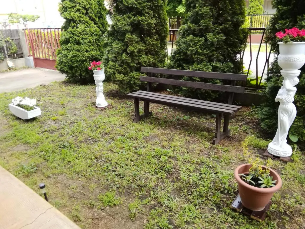 Garden in Rubin Apartman