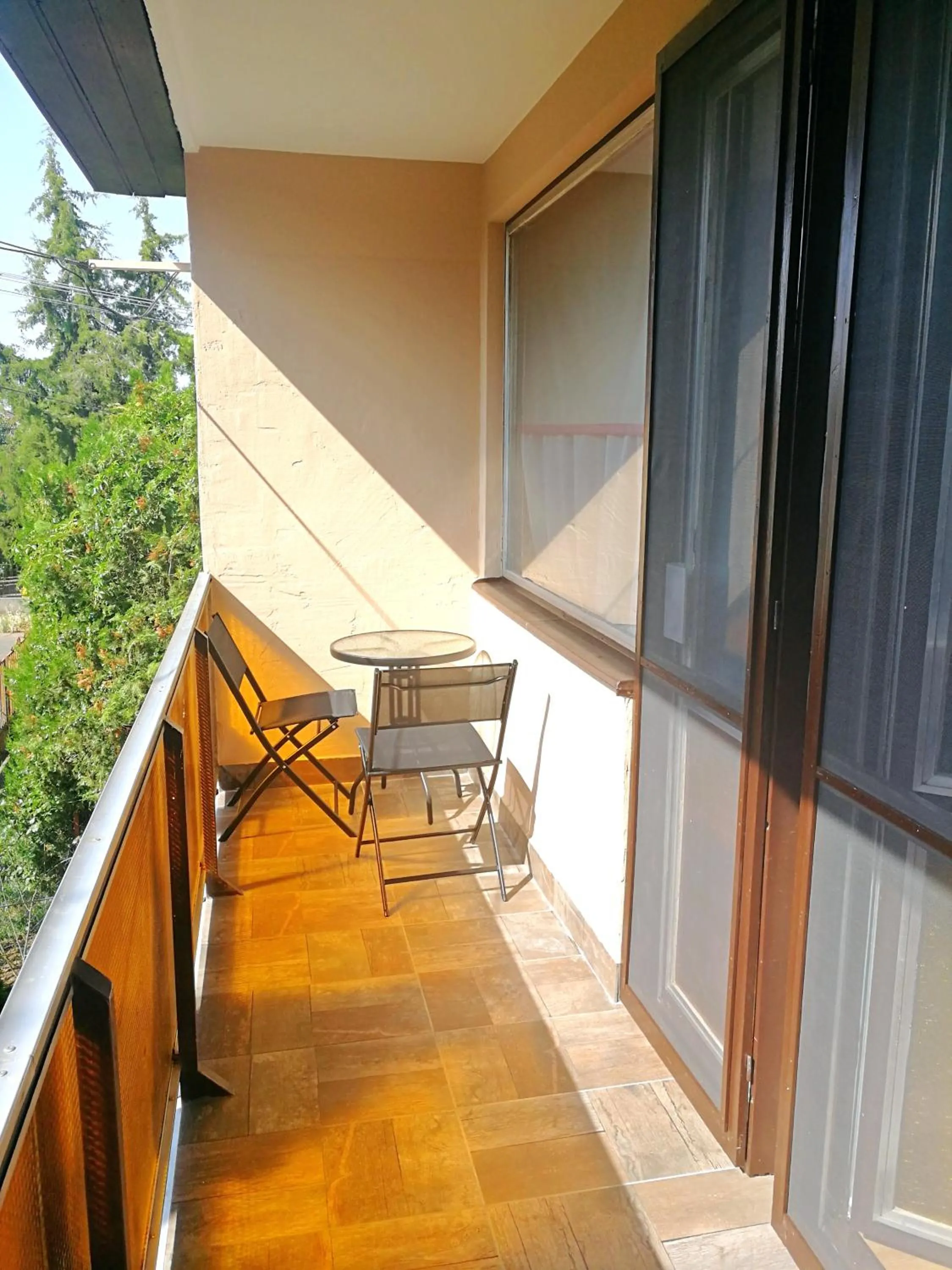 Balcony/Terrace in Rubin Apartman