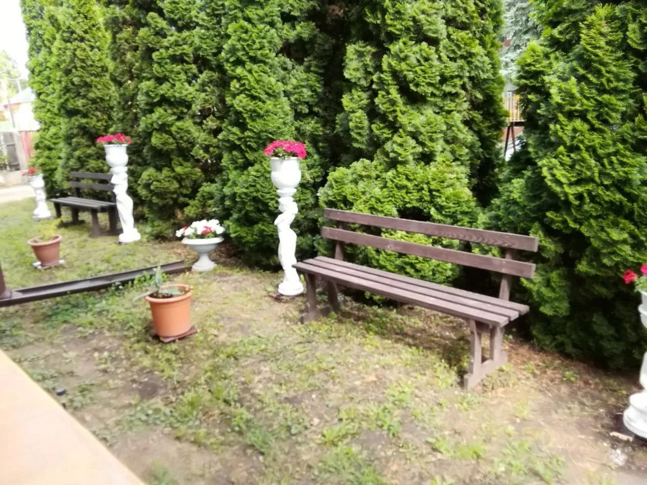 Garden in Rubin Apartman