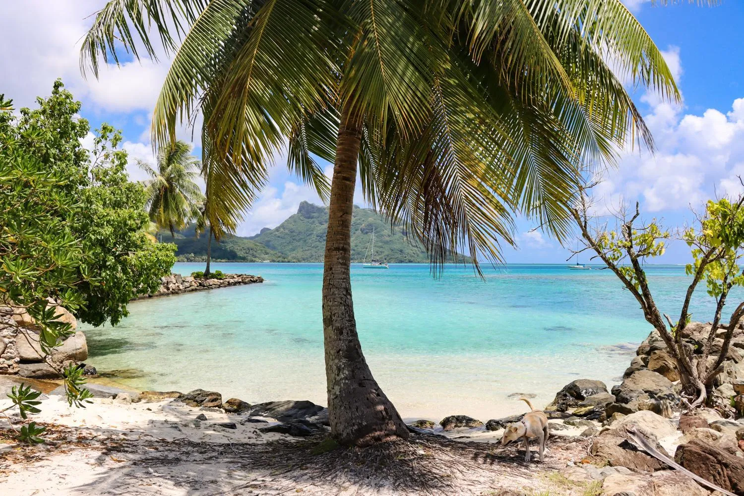 Beach in Bungalow Bali Hai