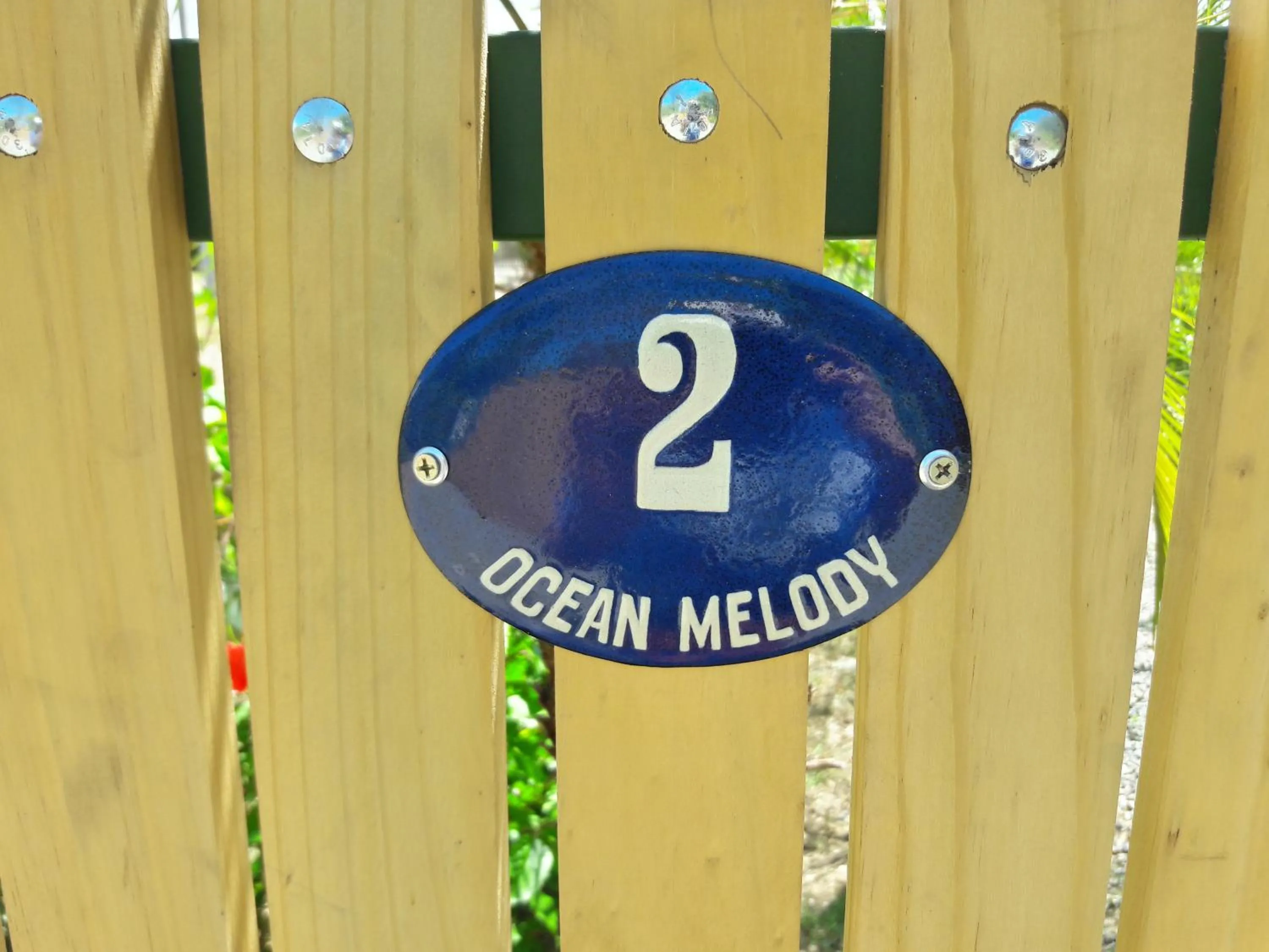 Ocean Melody 2