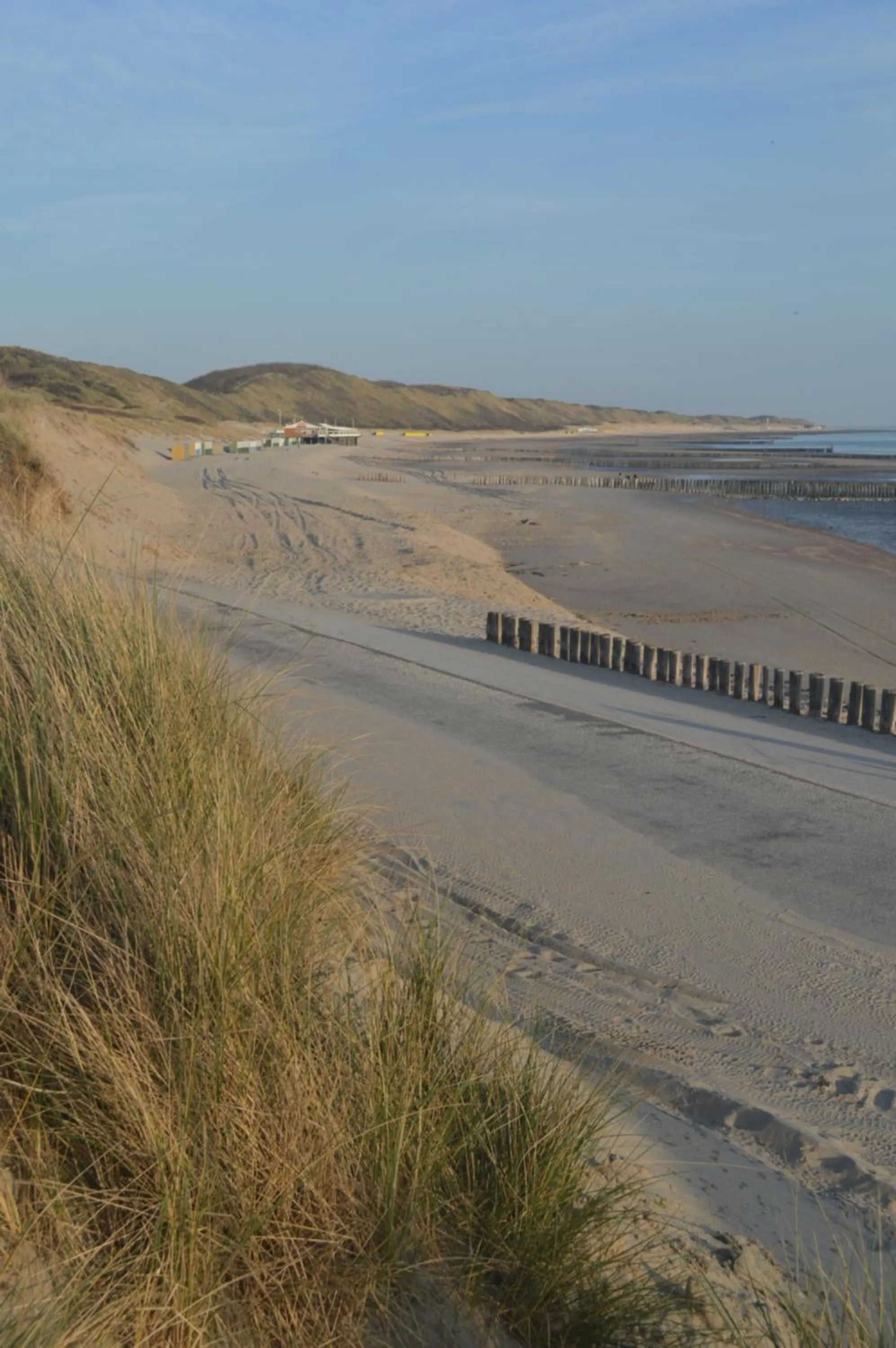 Natural landscape in Effe-Zoutelande
