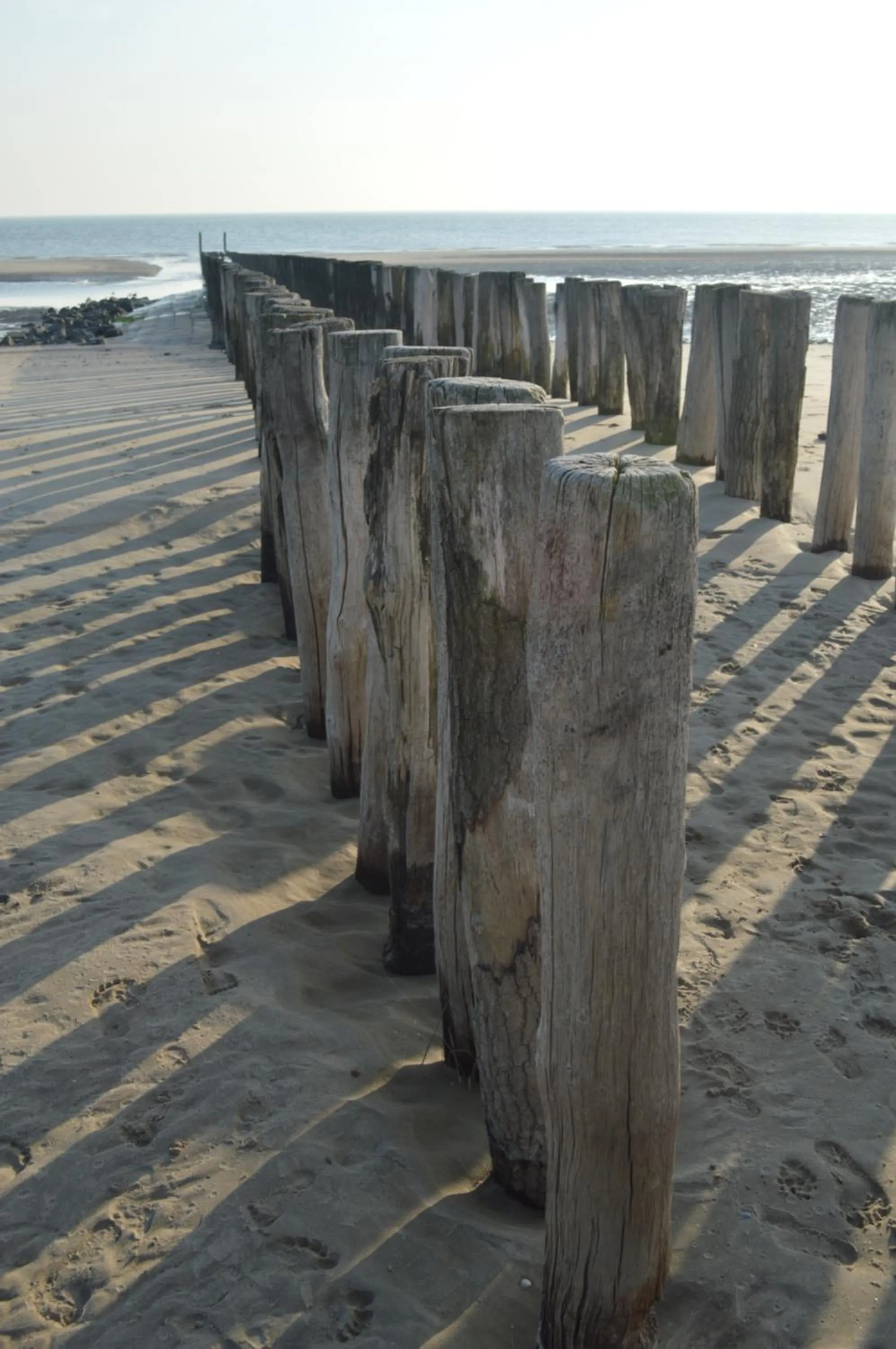 Natural landscape in Effe-Zoutelande