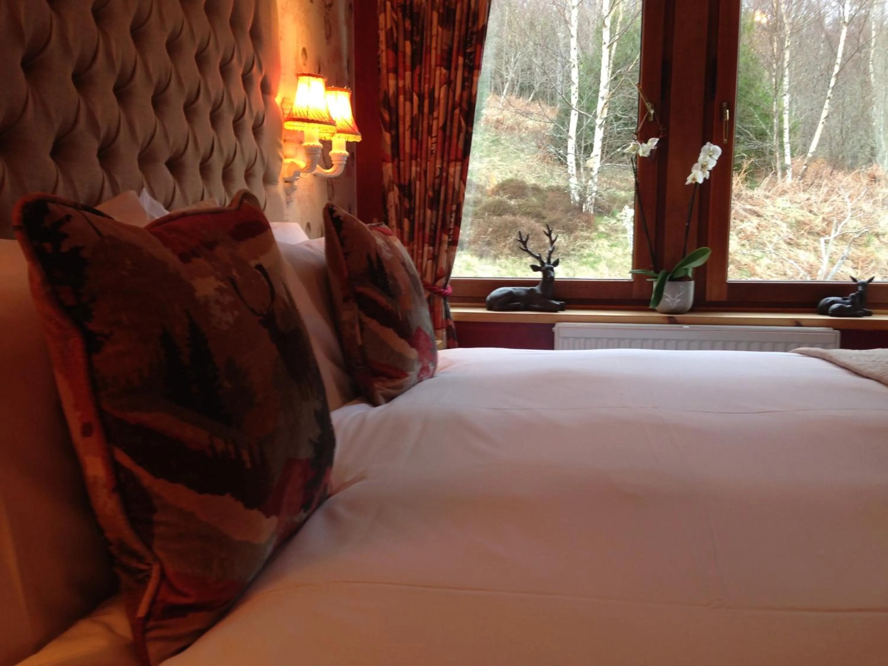 Bed in Highland Bear Lodge & Luxury Bear Huts