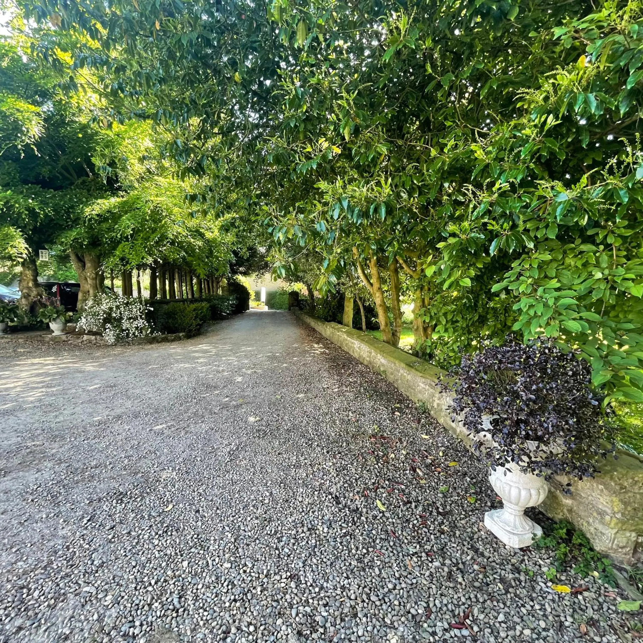 Spring in East Ayton Lodge Hotel, Scarborough