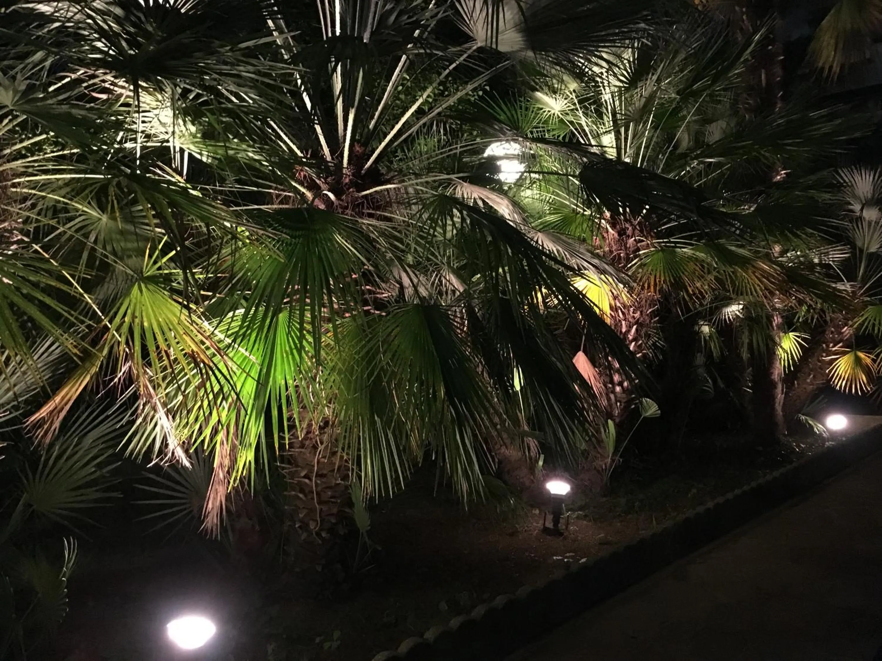 Garden in G&D Hotel Deanna Golf