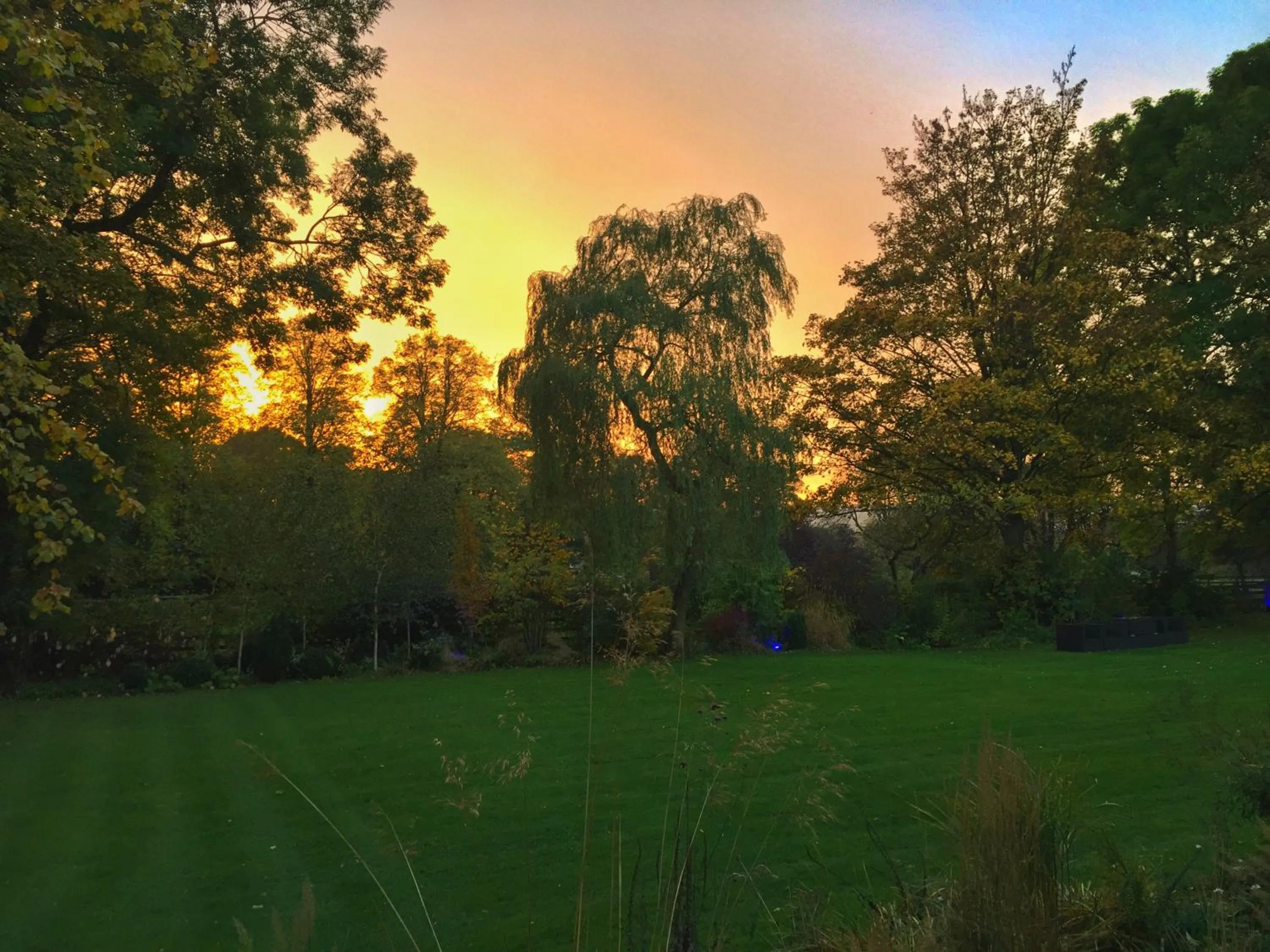Garden in Mallyan Spout Hotel