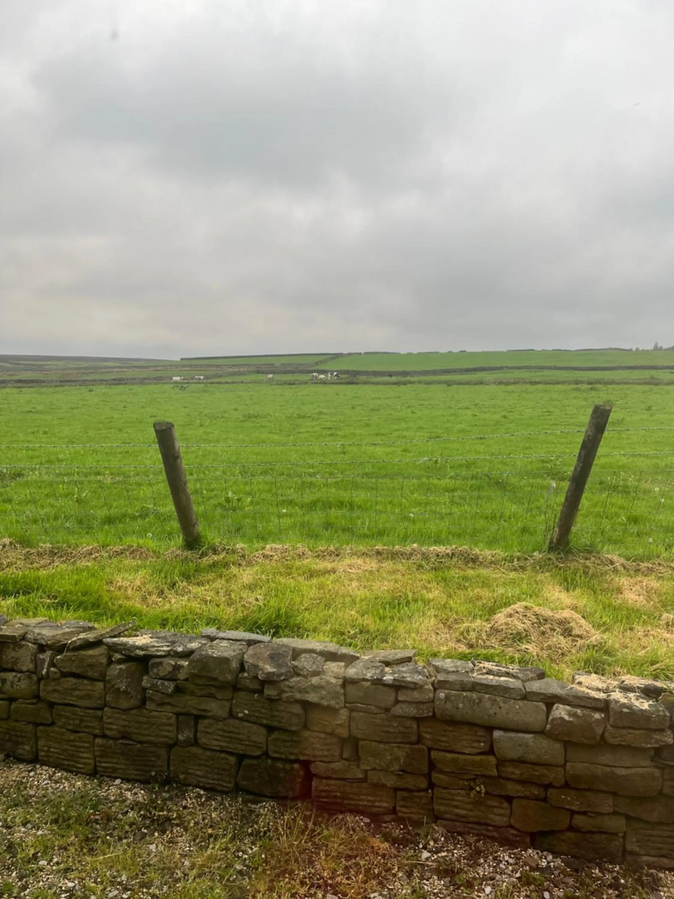 View (from property/room) in The Dog and Partridge