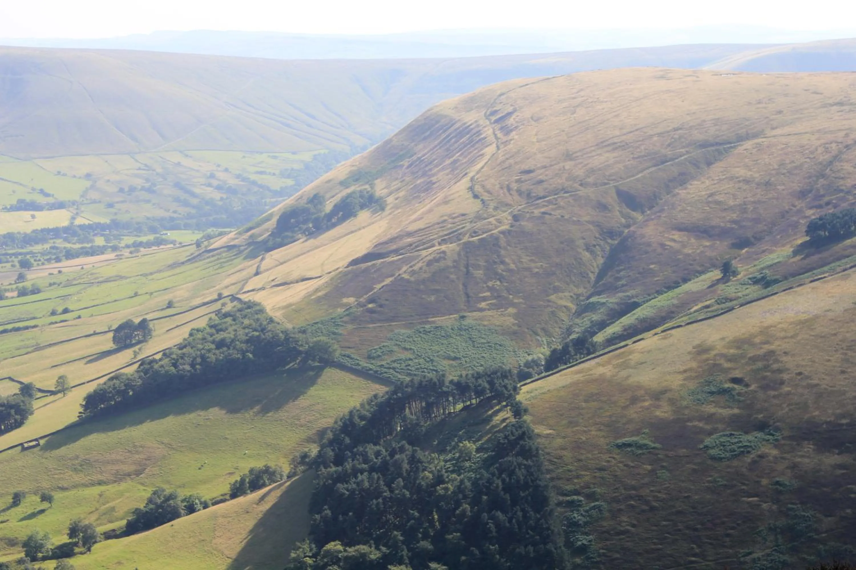 Spring in The Dog and Partridge