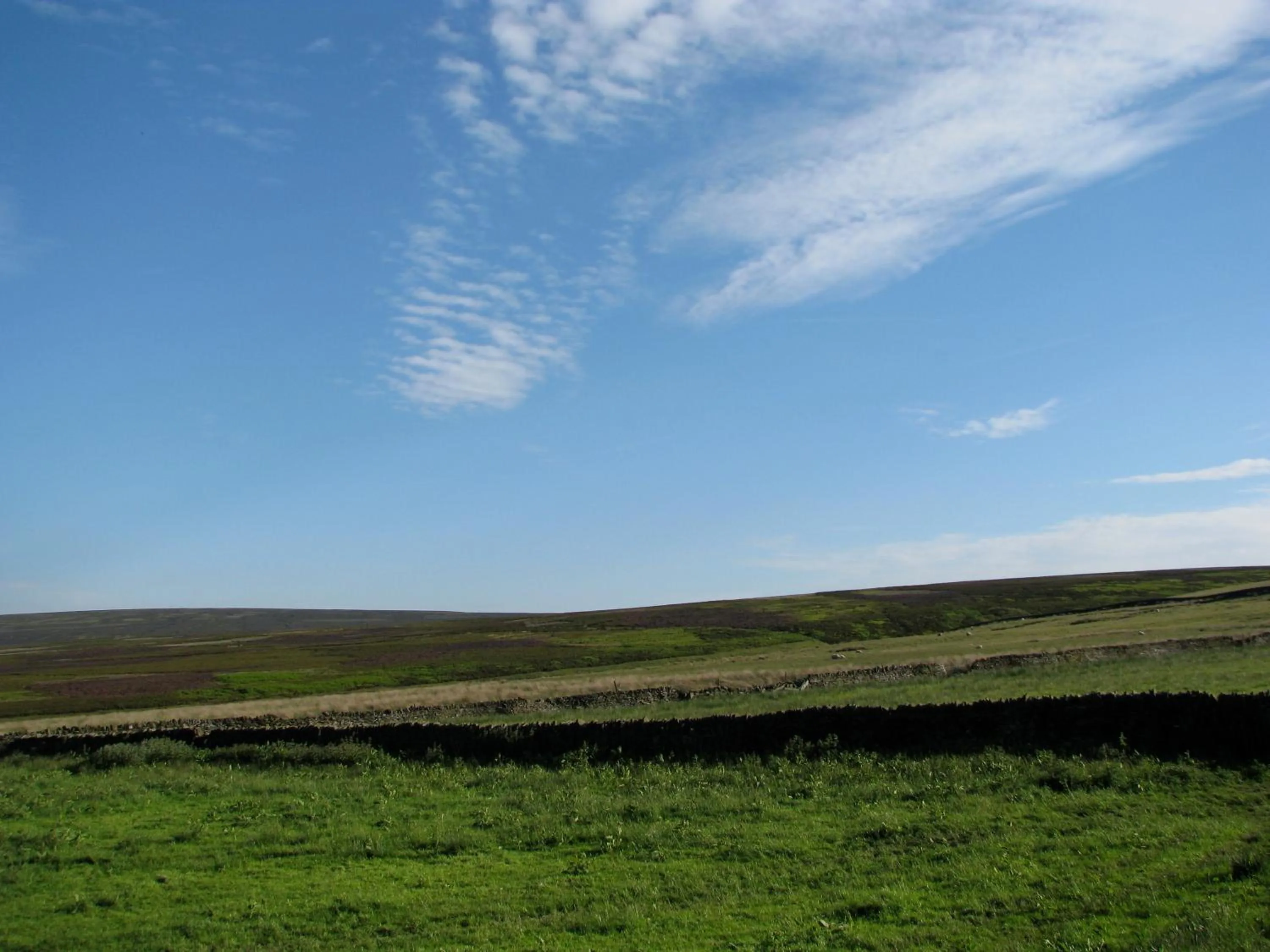 Property building in The Dog and Partridge