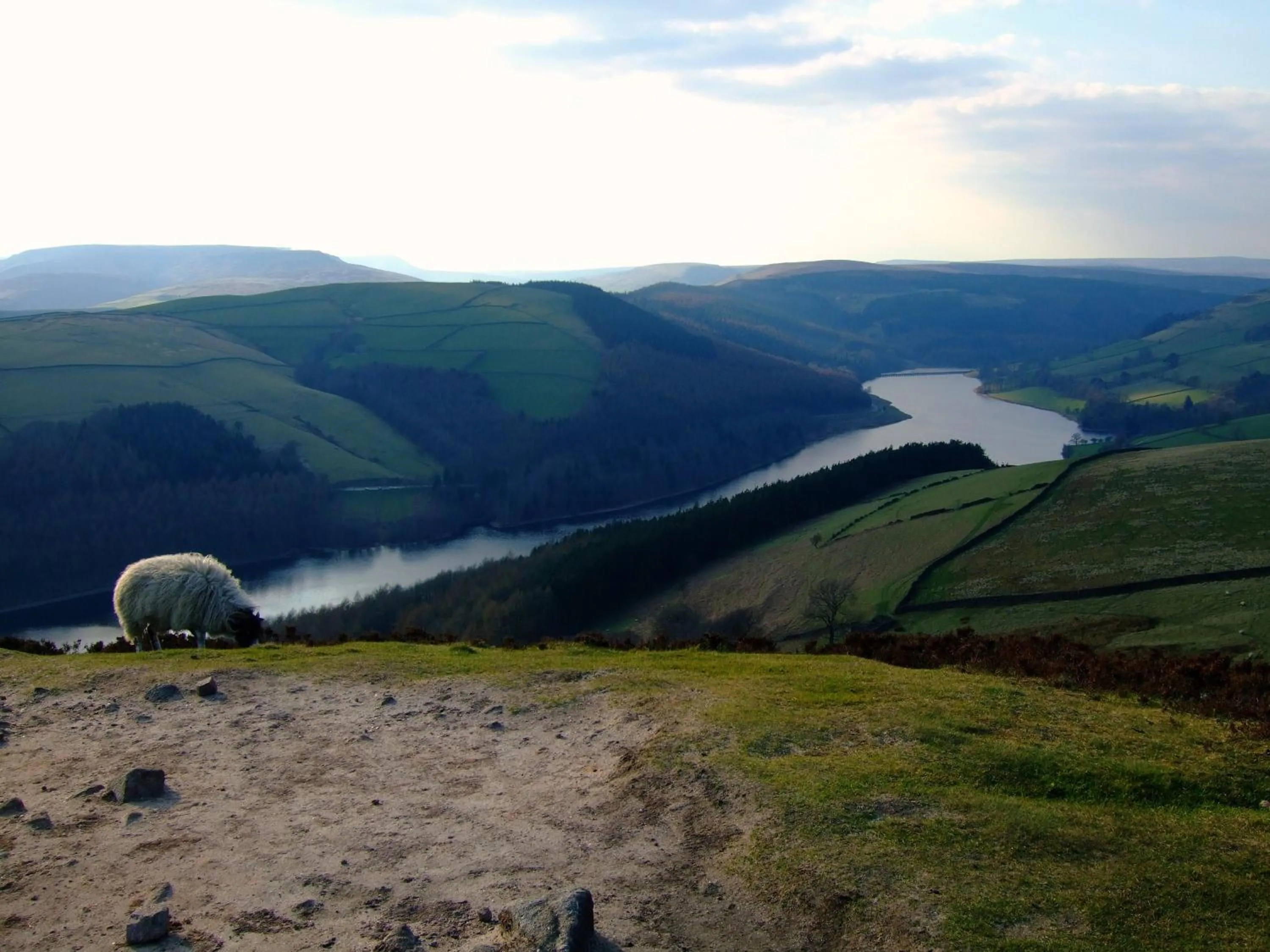 Nearby landmark in The Dog and Partridge