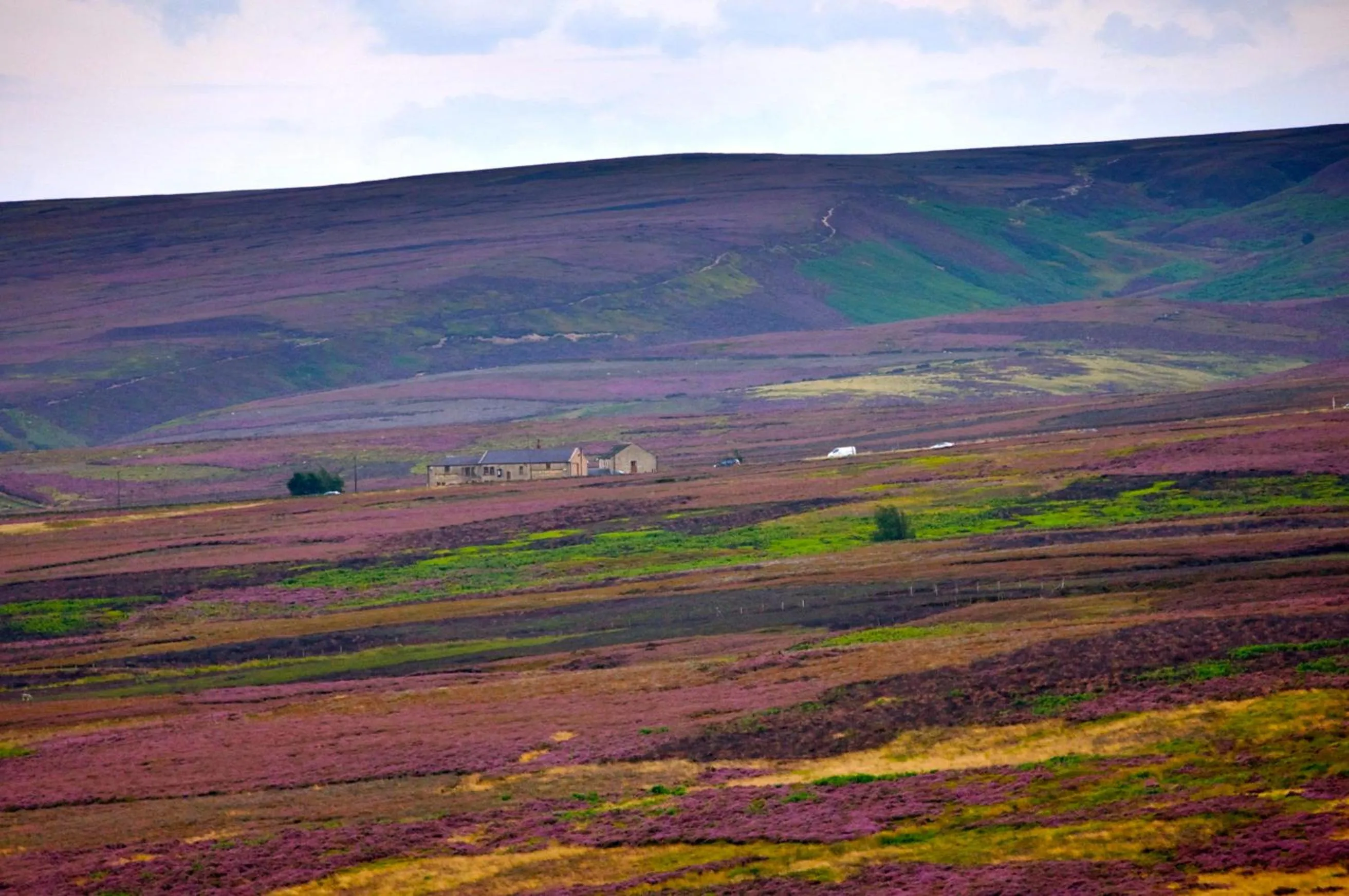 View (from property/room) in The Dog and Partridge