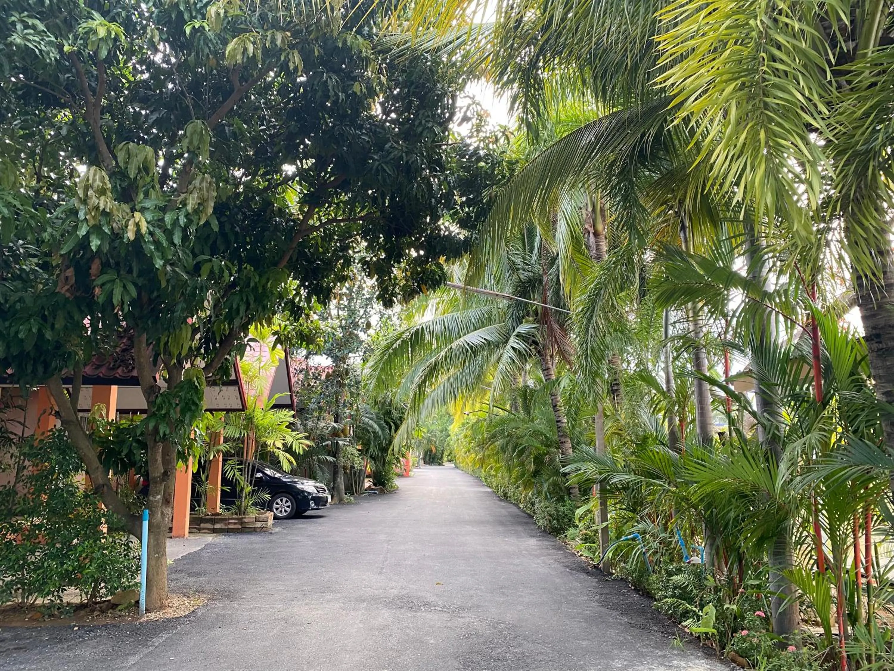 Garden view in Baan Suan Palm Resort