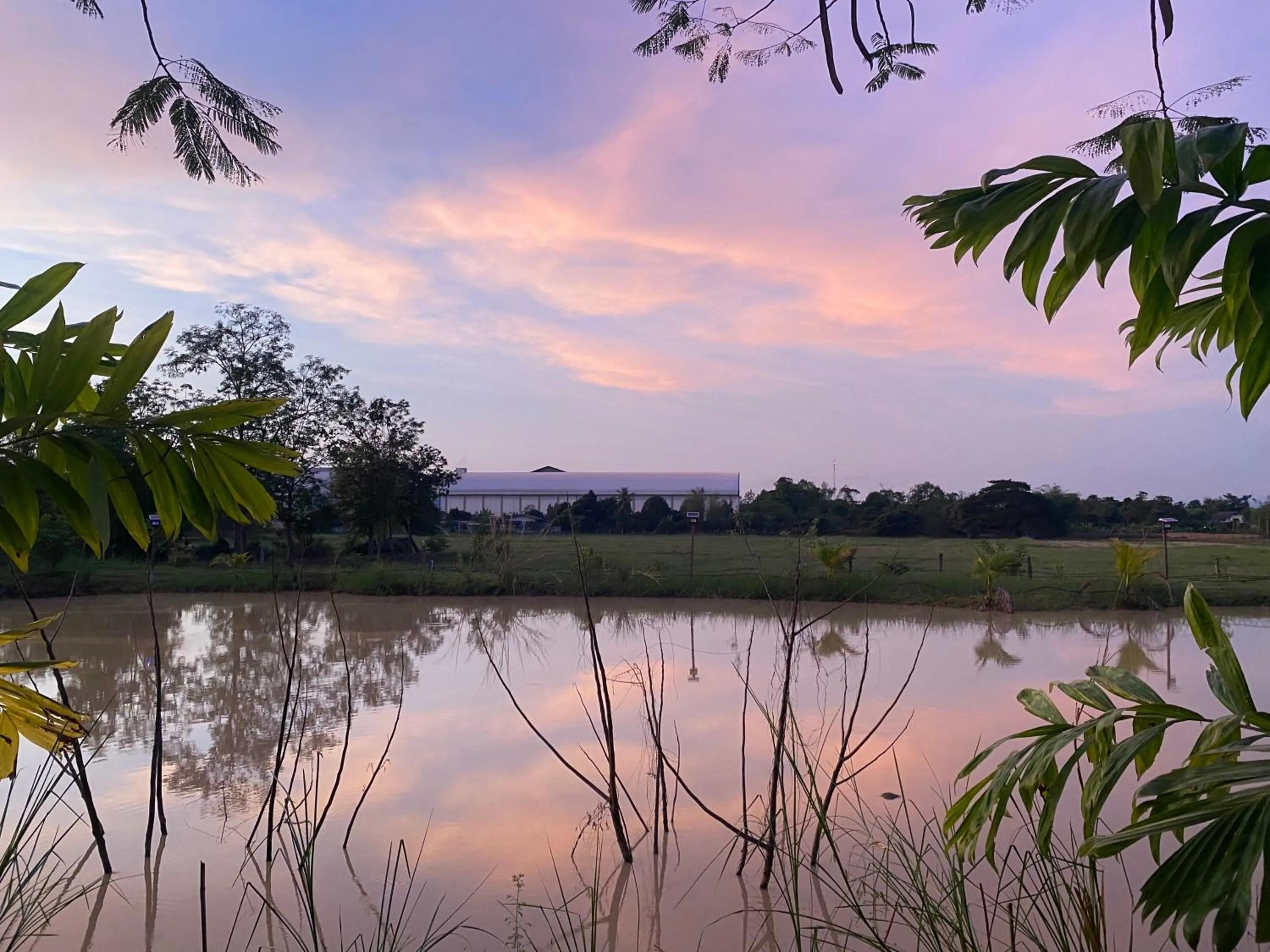 Garden view in Baan Suan Palm Resort