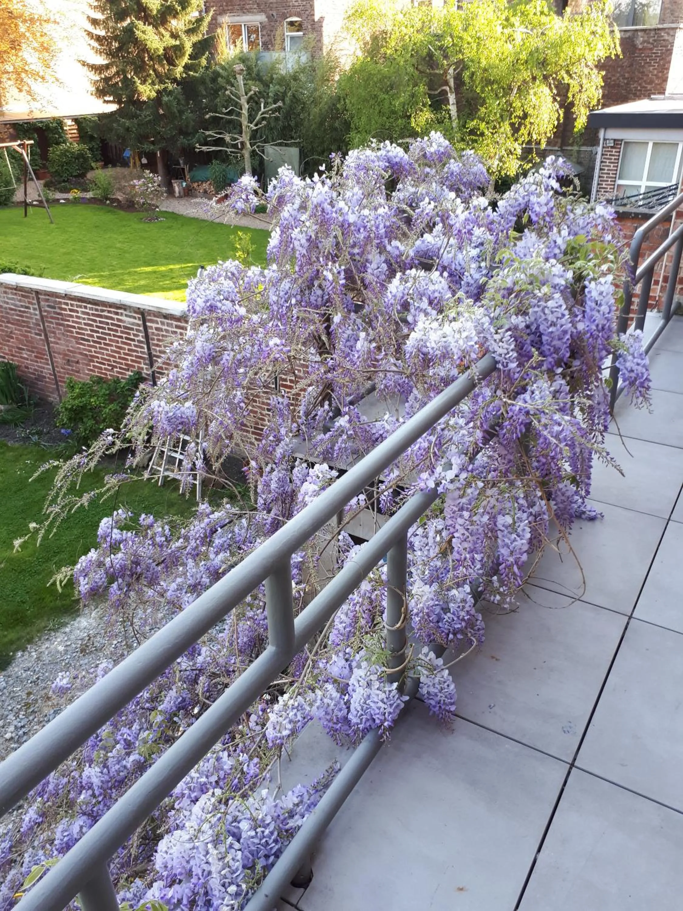 Appartement rez Terrasse et Jardin