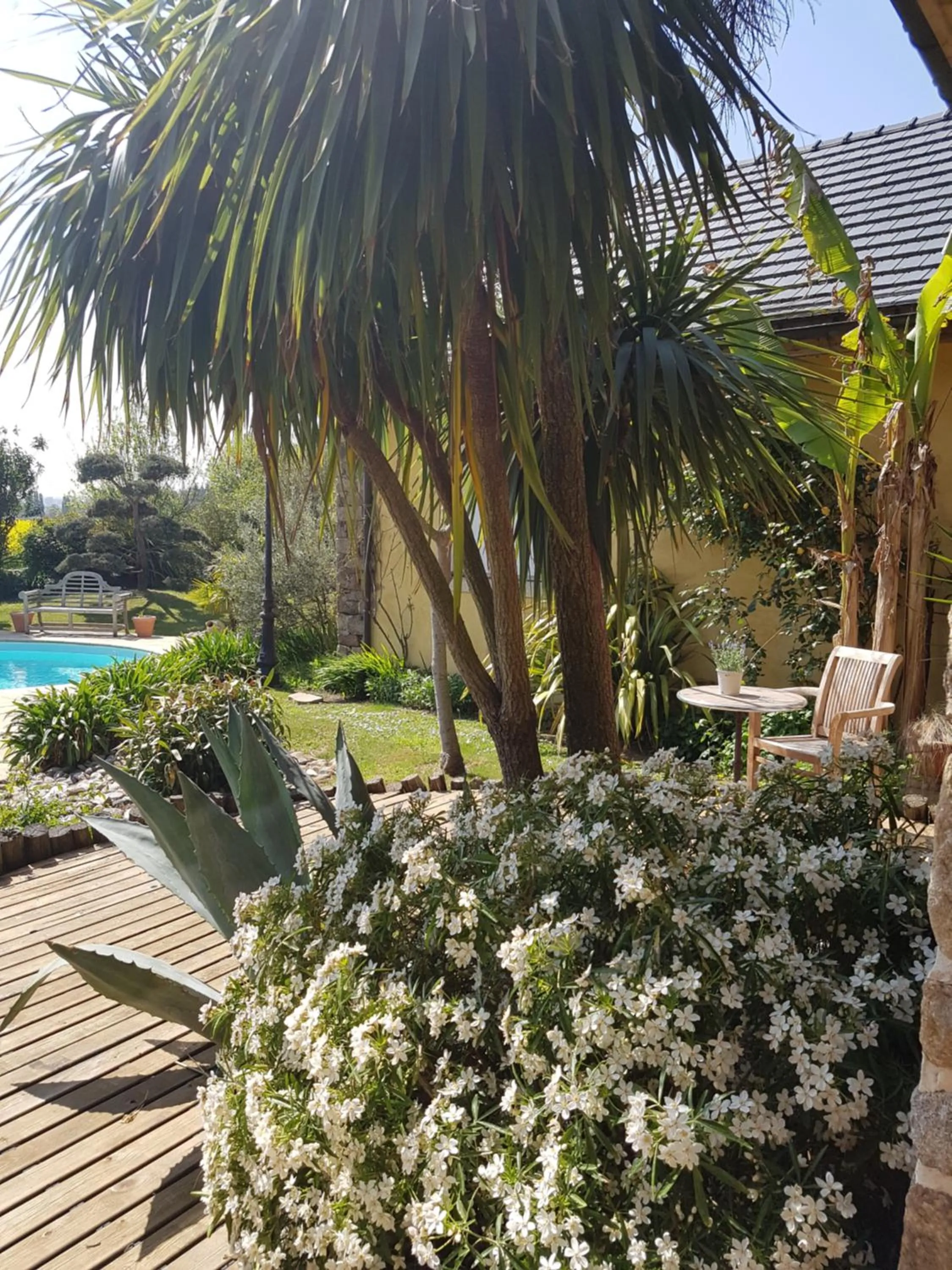 Garden in B&B Lou Mas