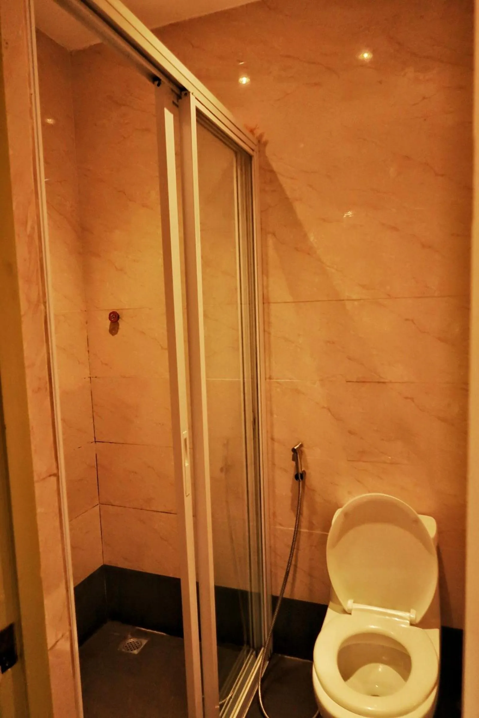 Toilet in LEUX Hotel Alona Panglao